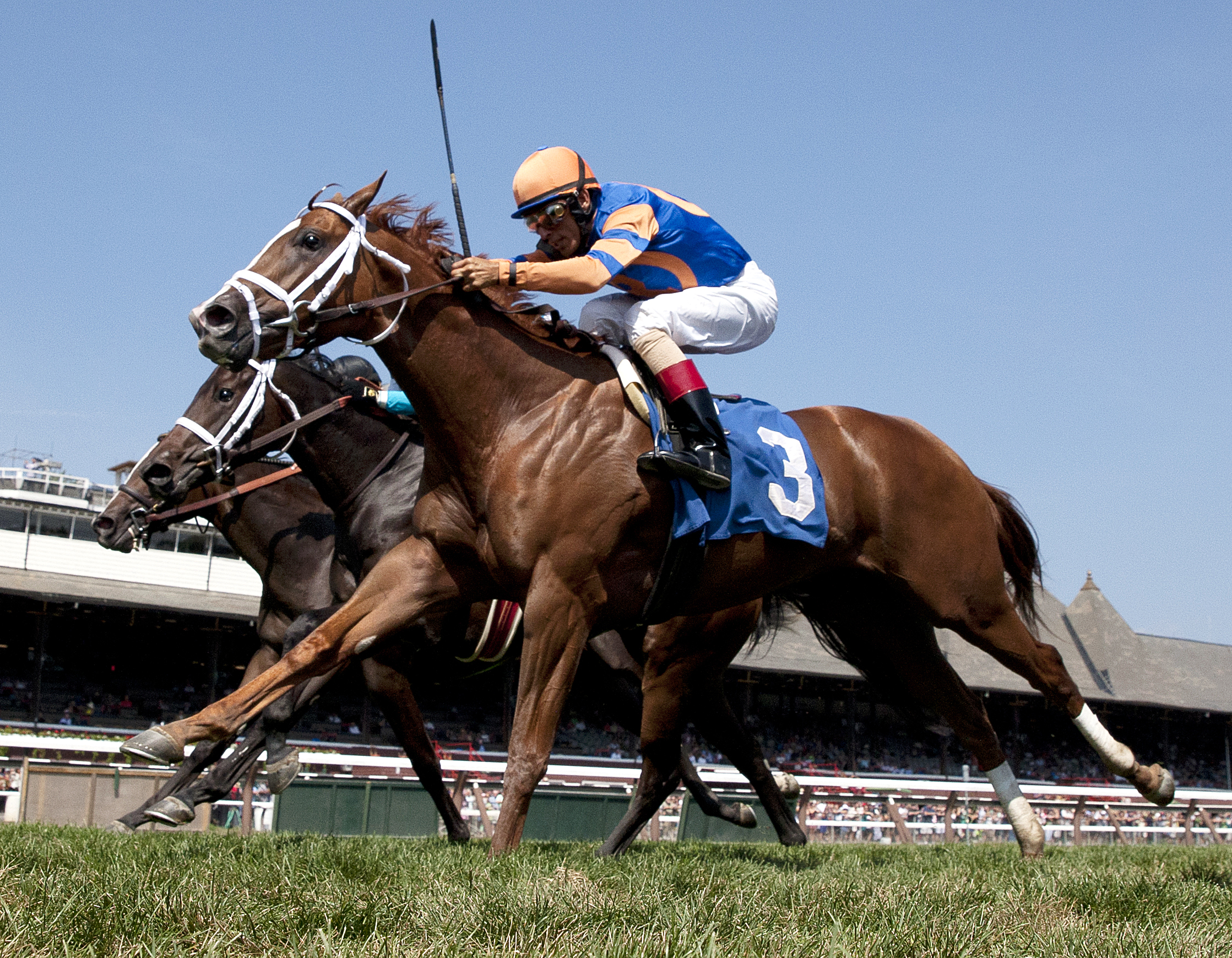 Surprise Cameo wins a maiden race