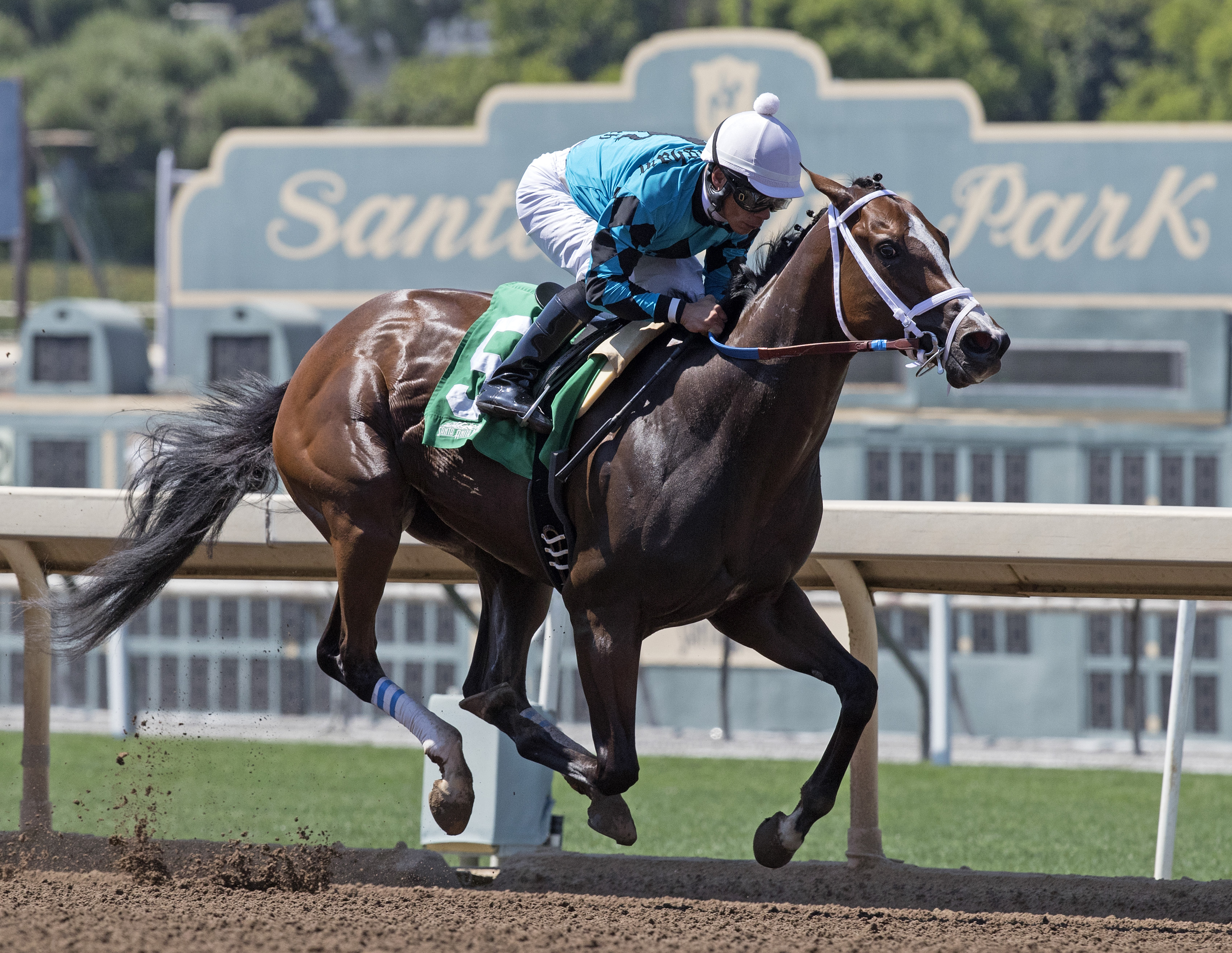Surrender Now wins the Landaluce