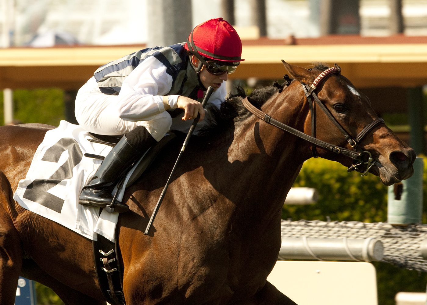 Surrey Star wins La Puente