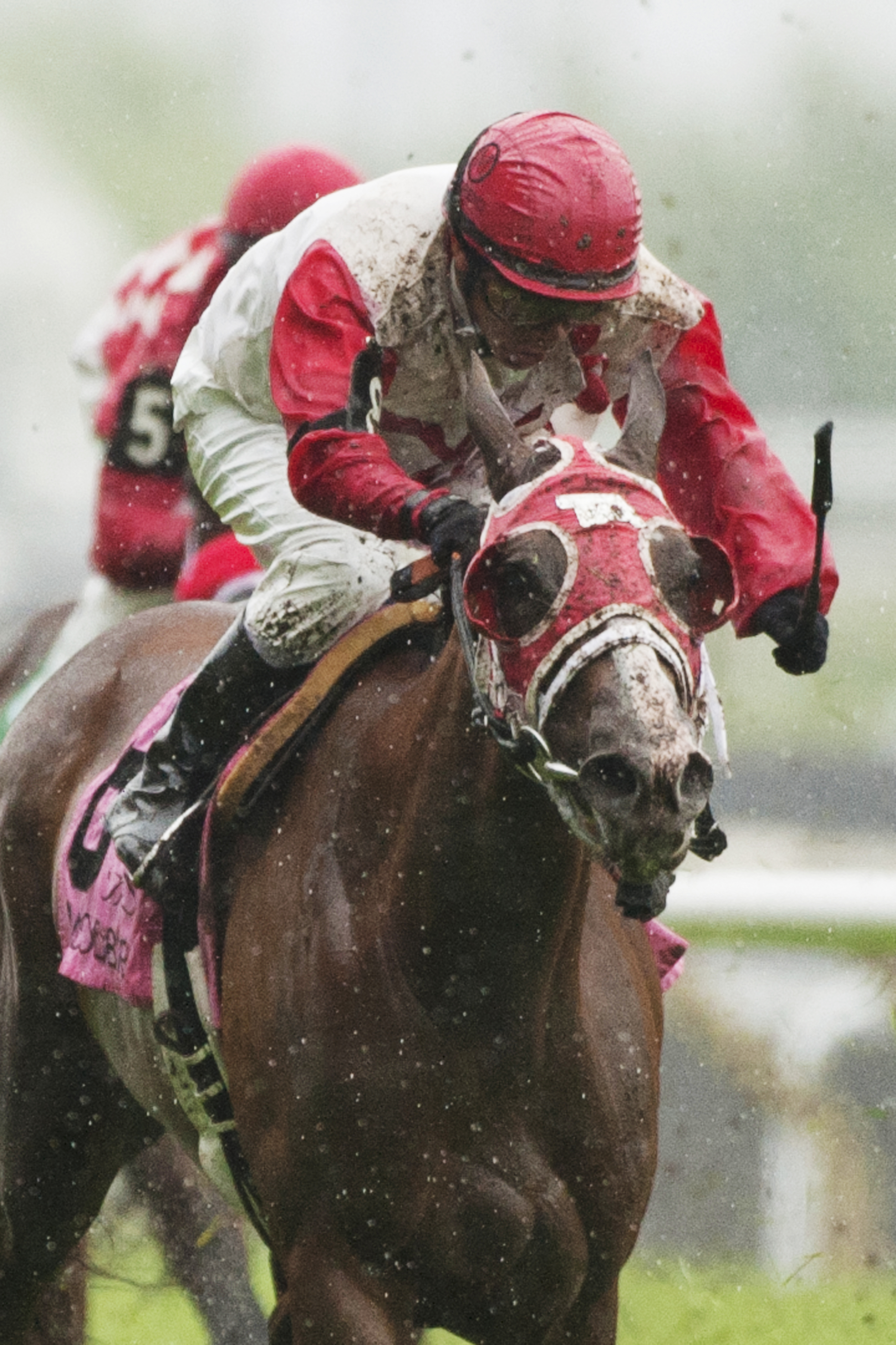 Surtsey wins the Zadracarta Stakes