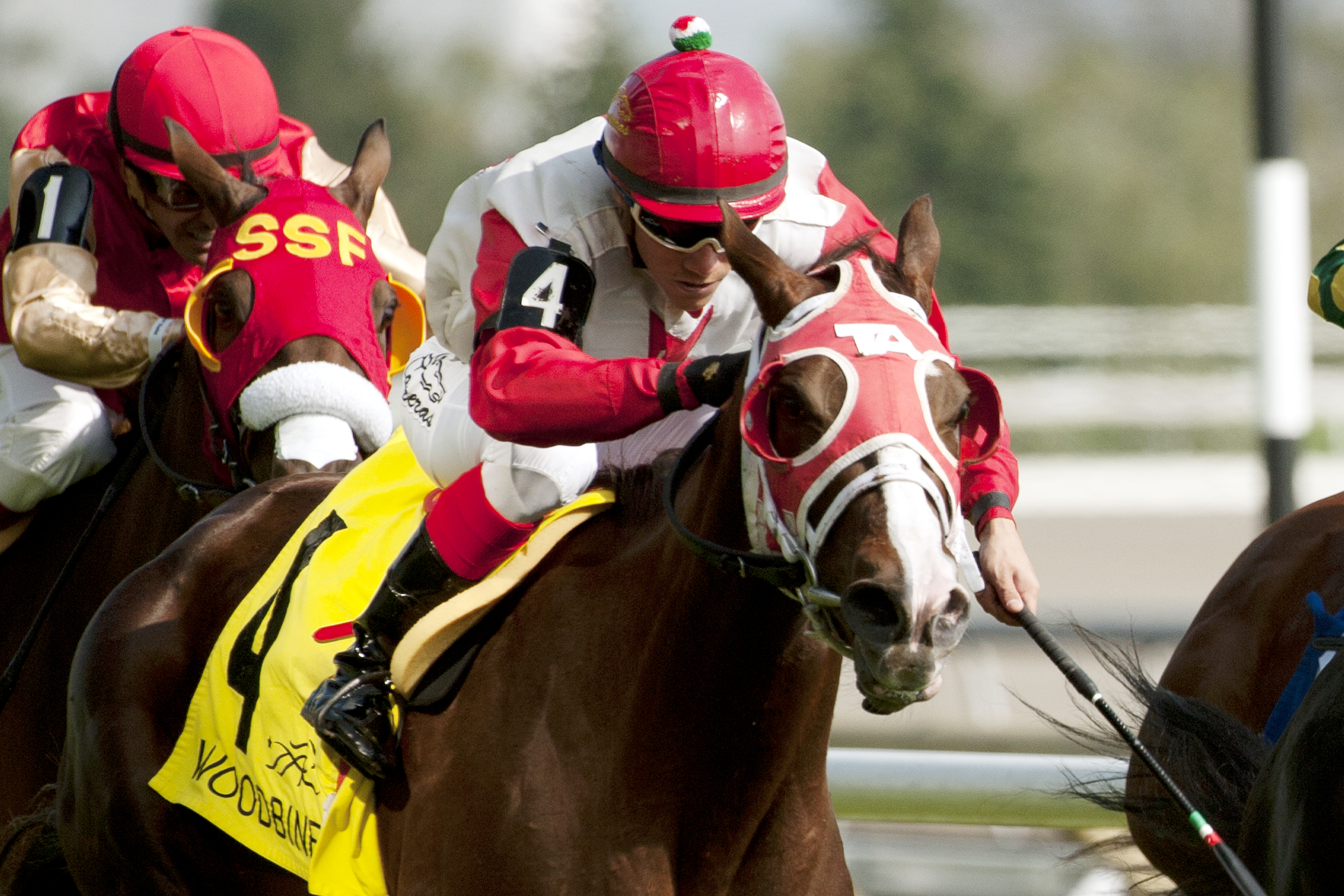 Surtsey wins the Avowal Stakes