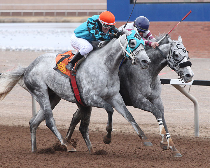 Tijuana finishes second in the 2018 New Mexico Racing Commission Handicap