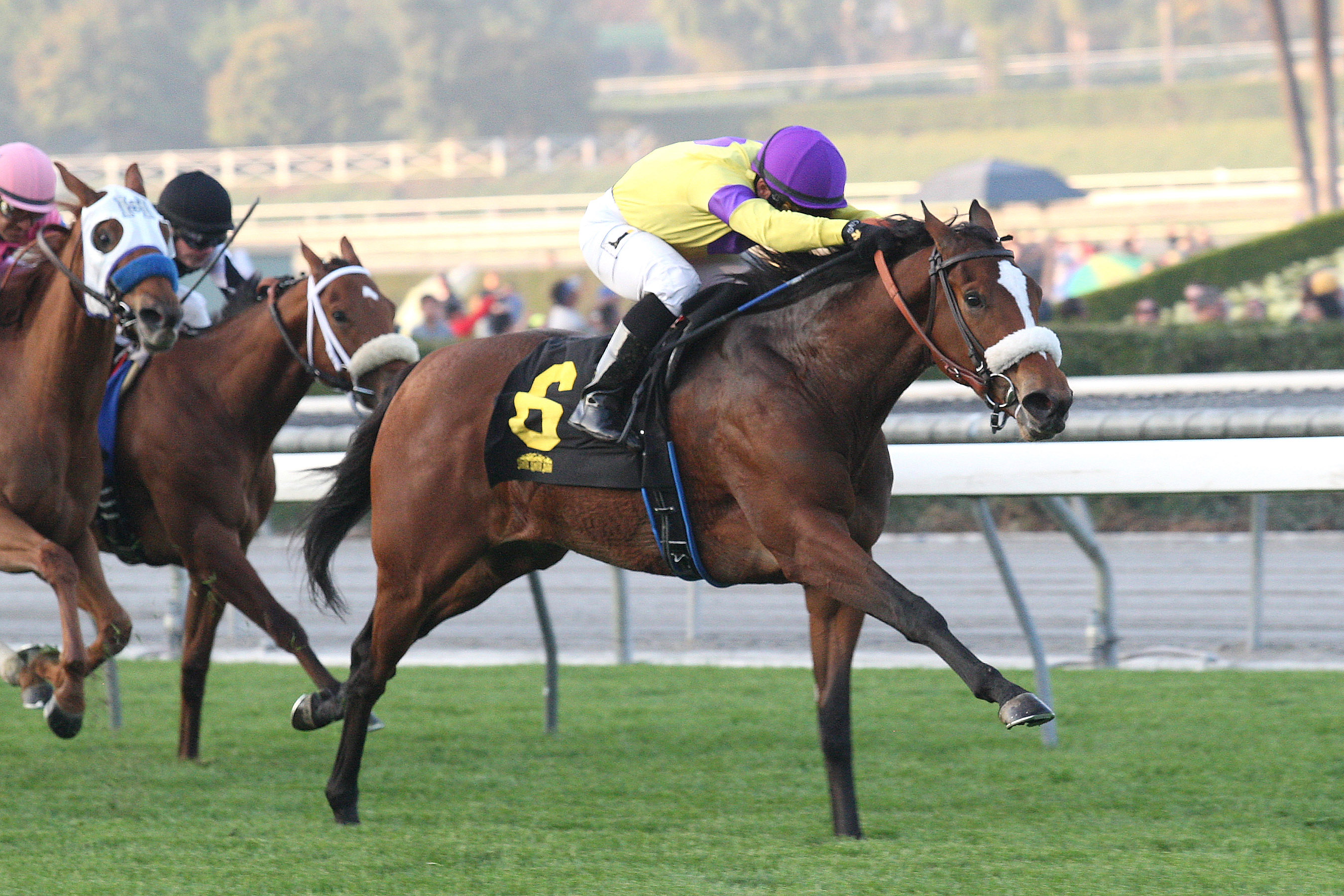 Sushi Empire wins the Blue Norther
