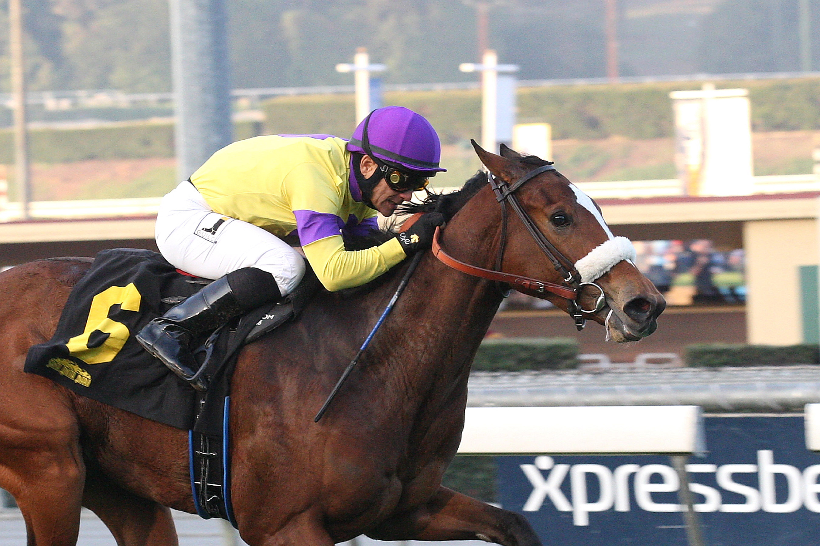 Sushi Empire wins the Blue Norther