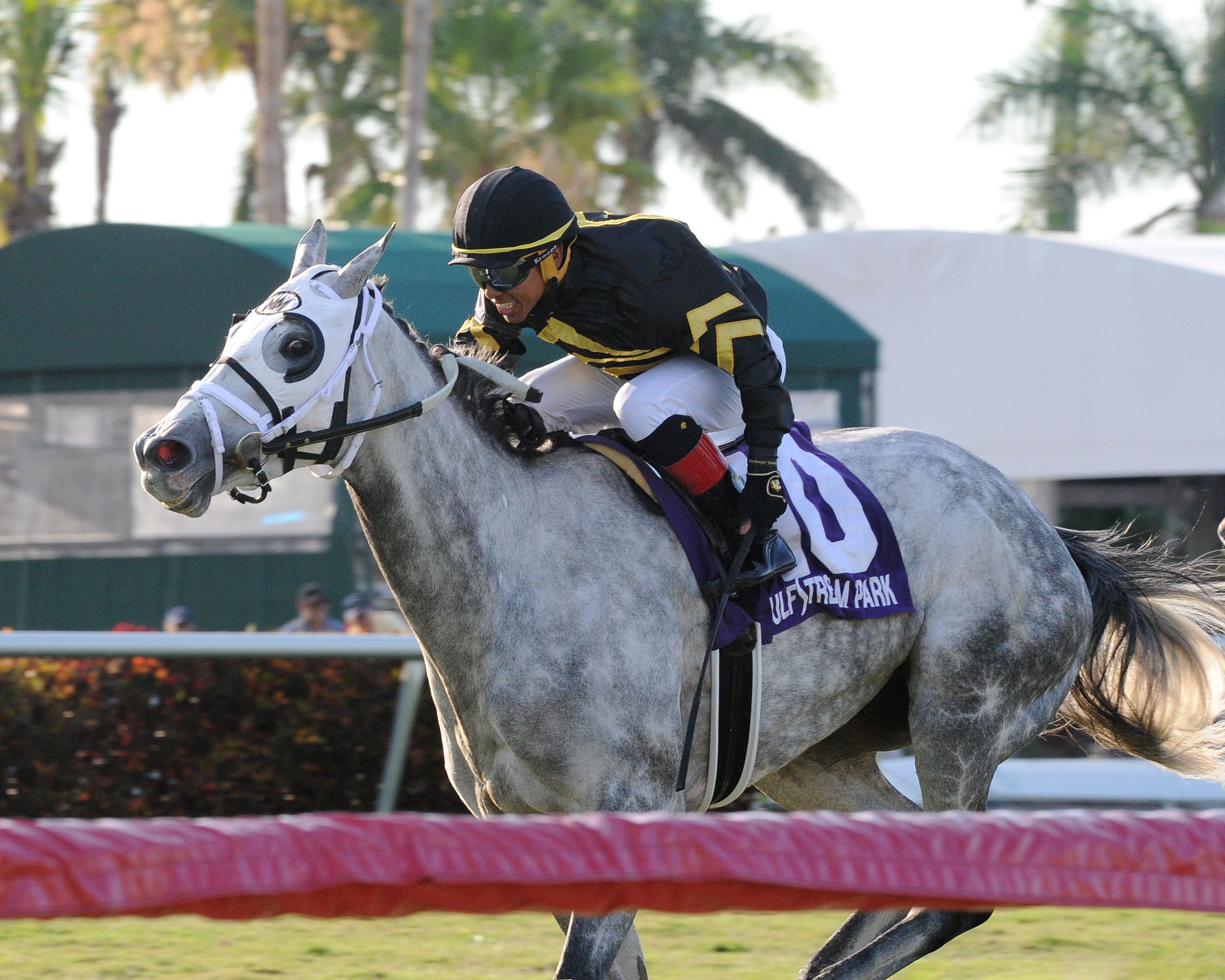 Susie Bee wins the 2018 Powder Break Stakes