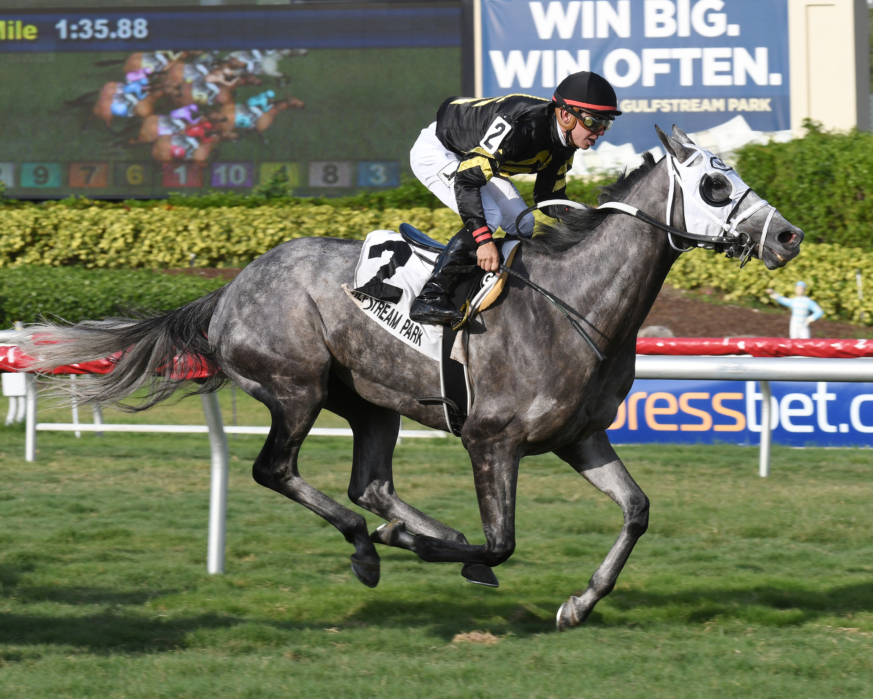 Susie Bee wins the Christmas Past Stakes