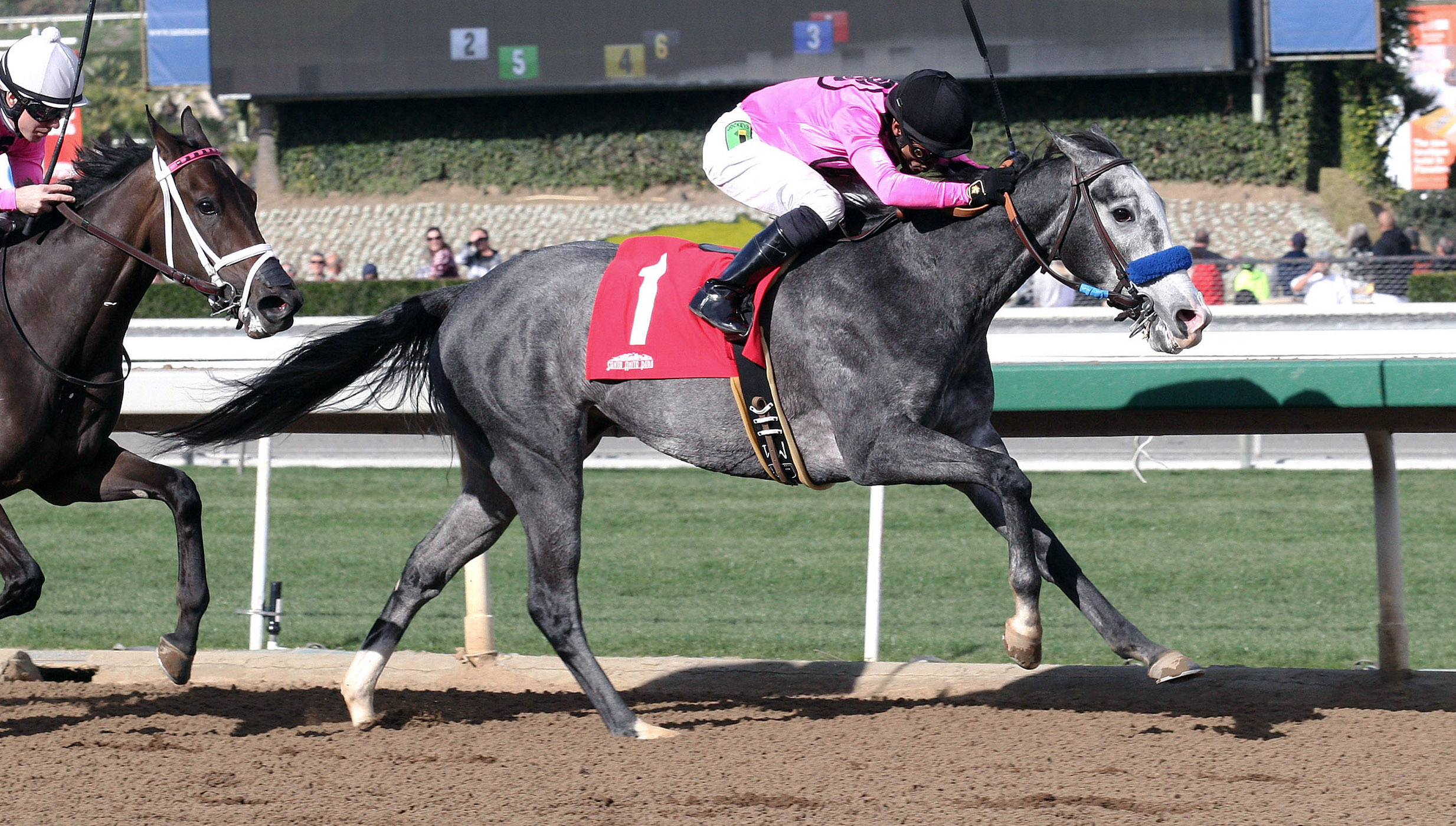 Suva Harbor wins an allowance race