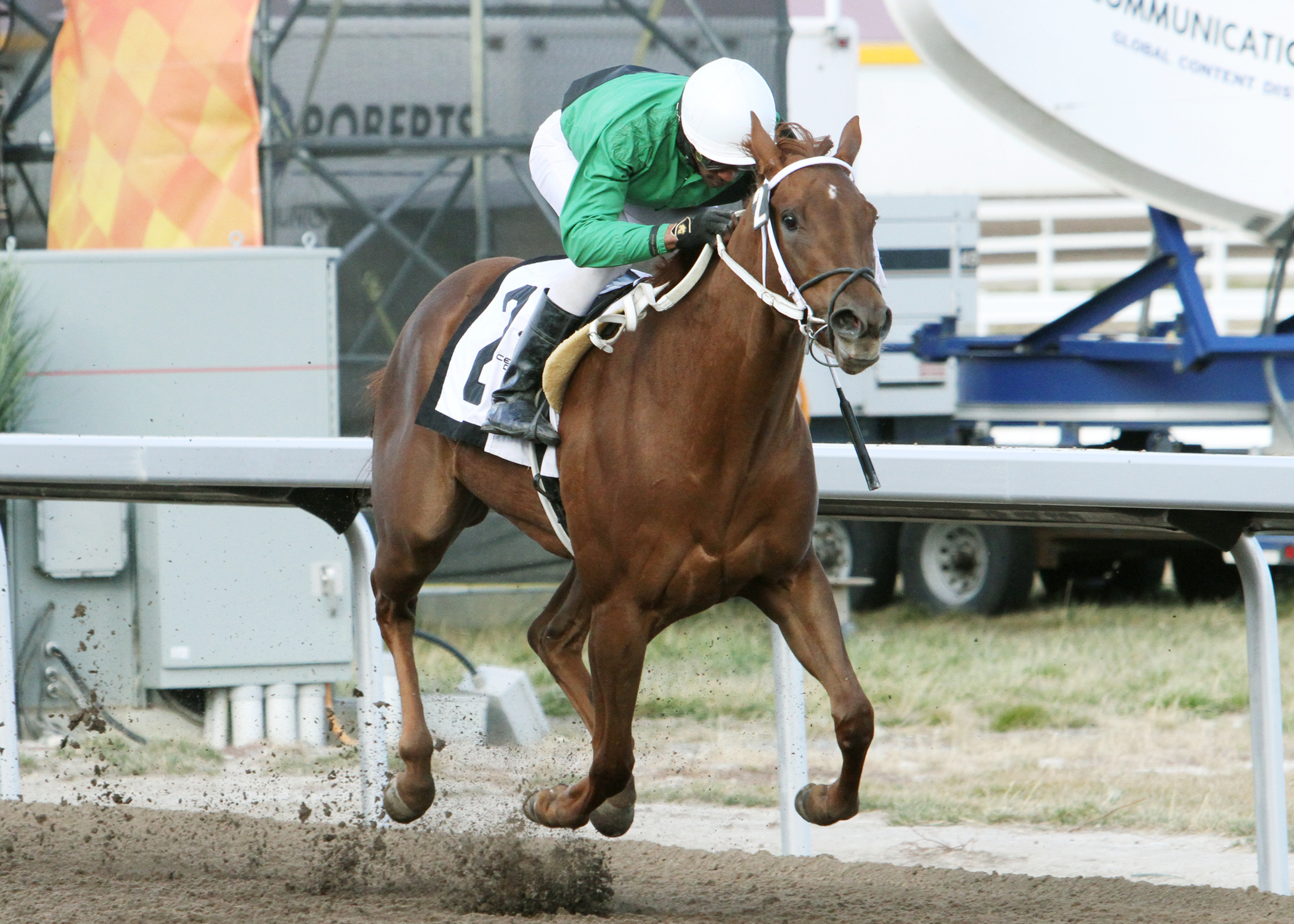 Suzette wins the 2017 Freedom of the City Stakes