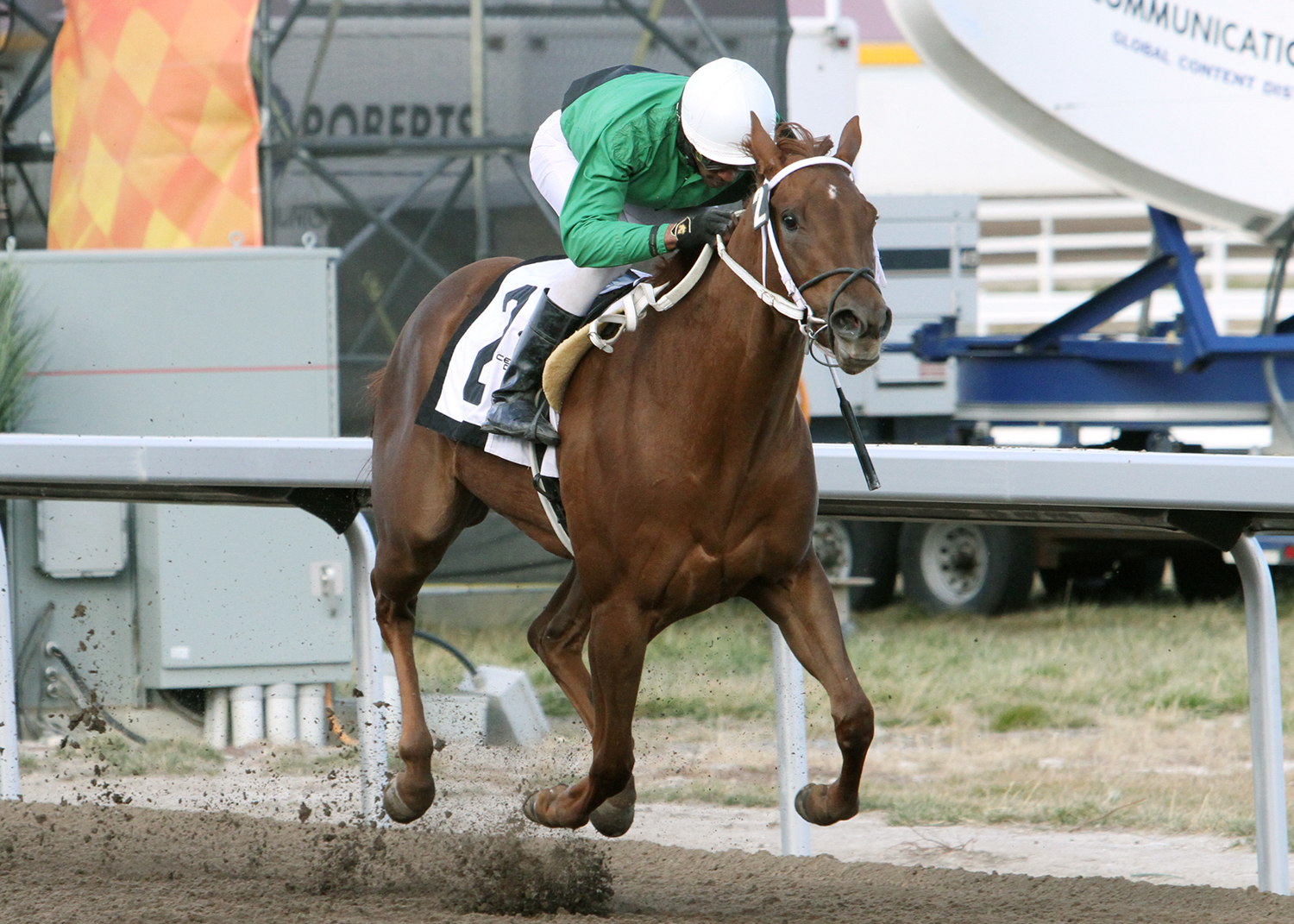 Suzette wins the 2017 Freedom of the City Stakes