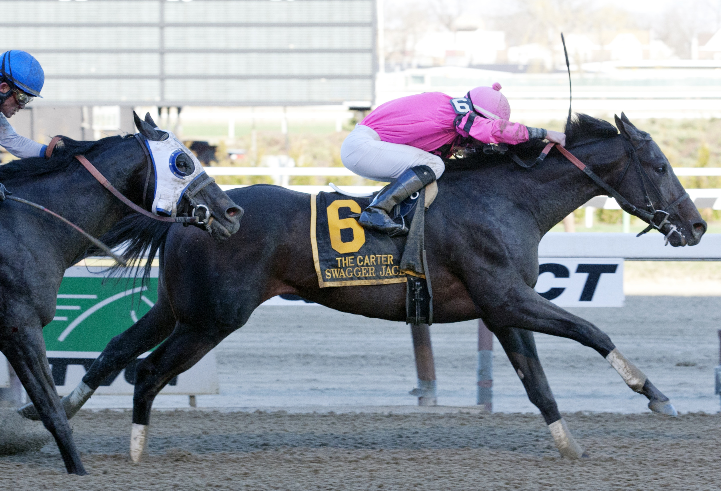 Swagger Jack, Carter Handicap