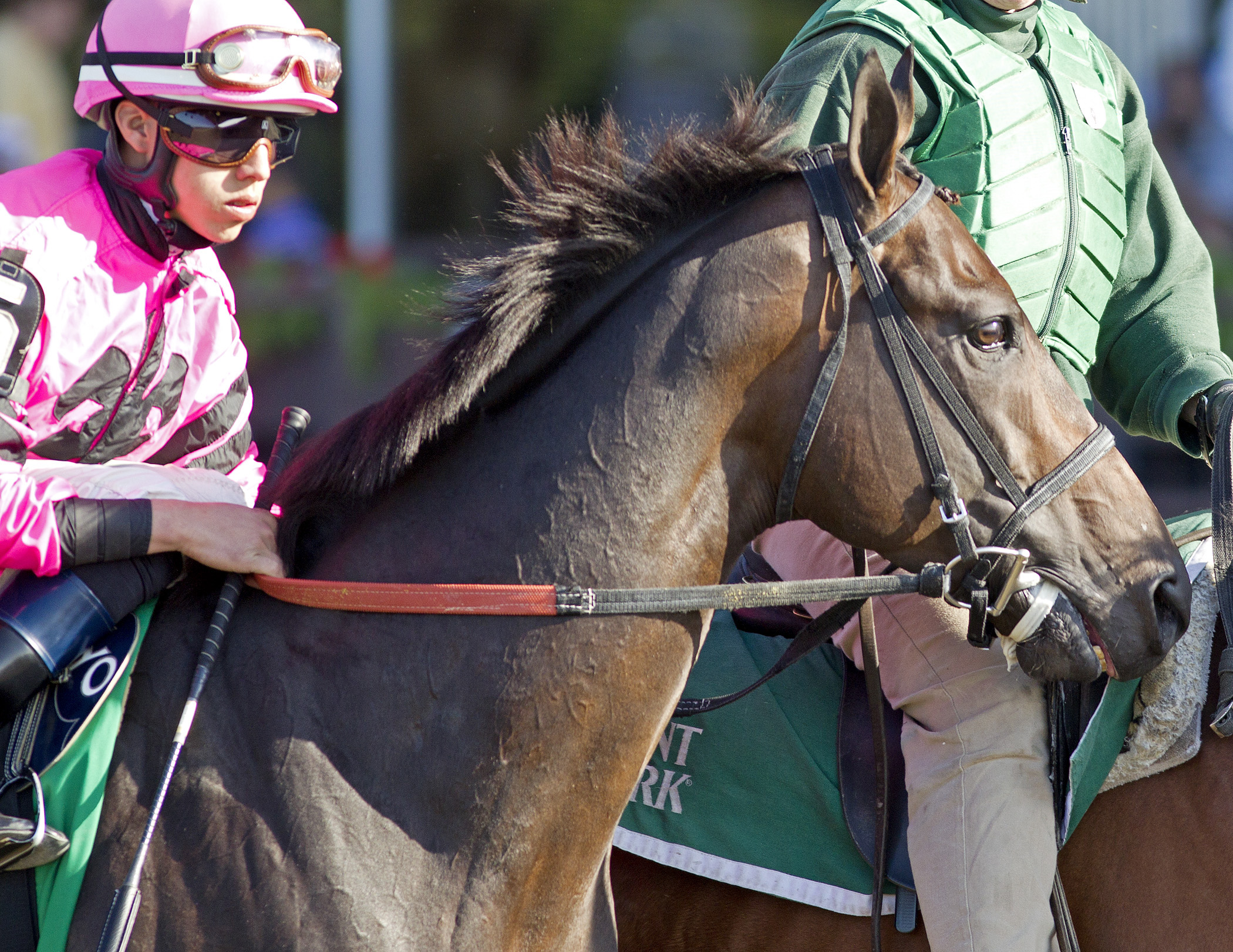 Swagger Jack, Carter Handicap at Belmont