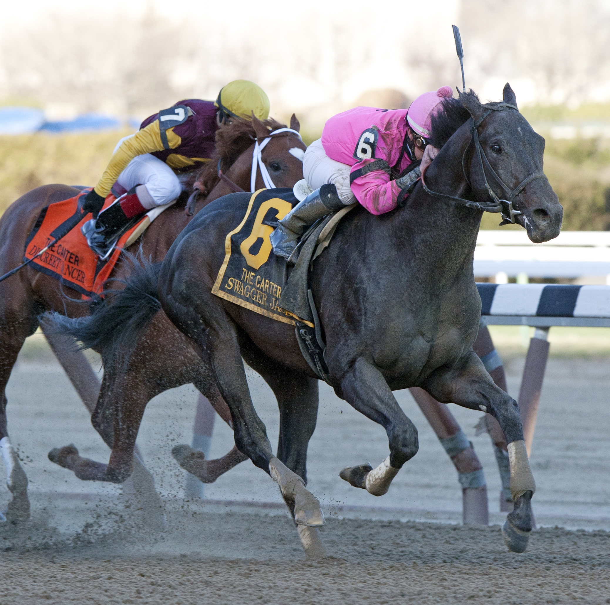 Swagger Jack, Carter Handicap