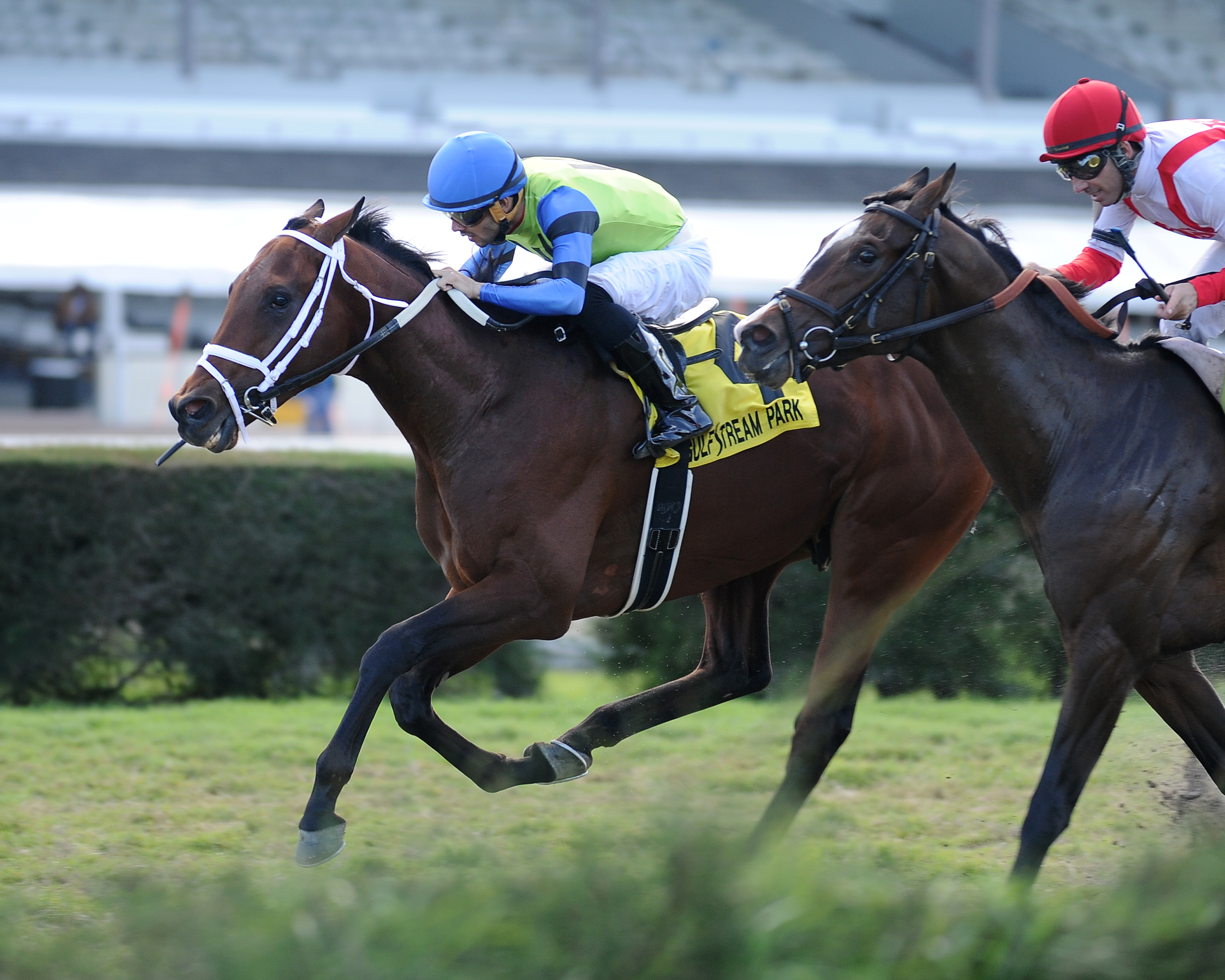 Swagger Jagger wins 2015 Pulpit