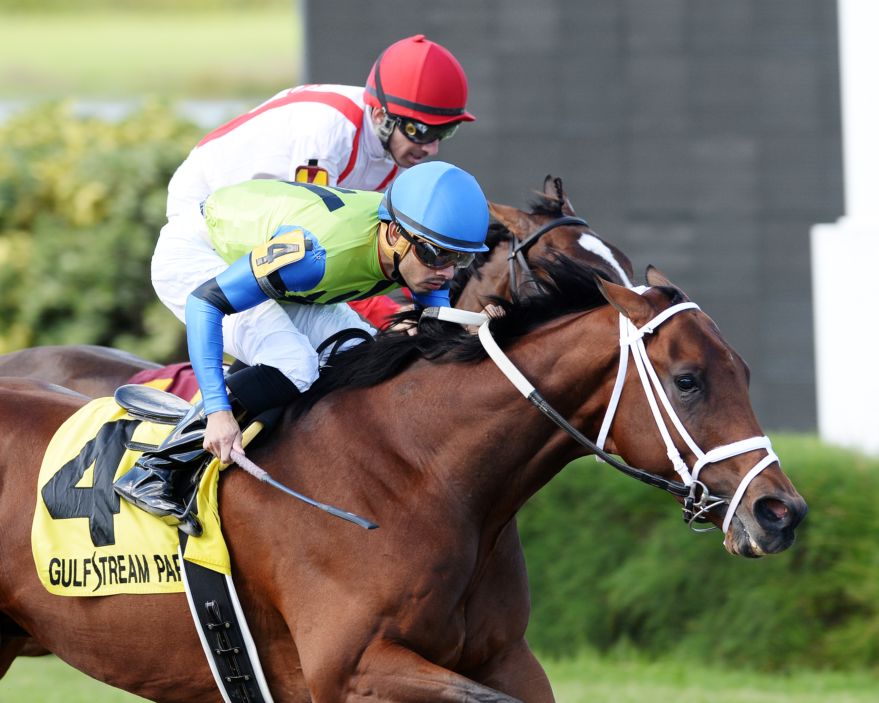Swagger Jagger wins the Pulpit Stakes
