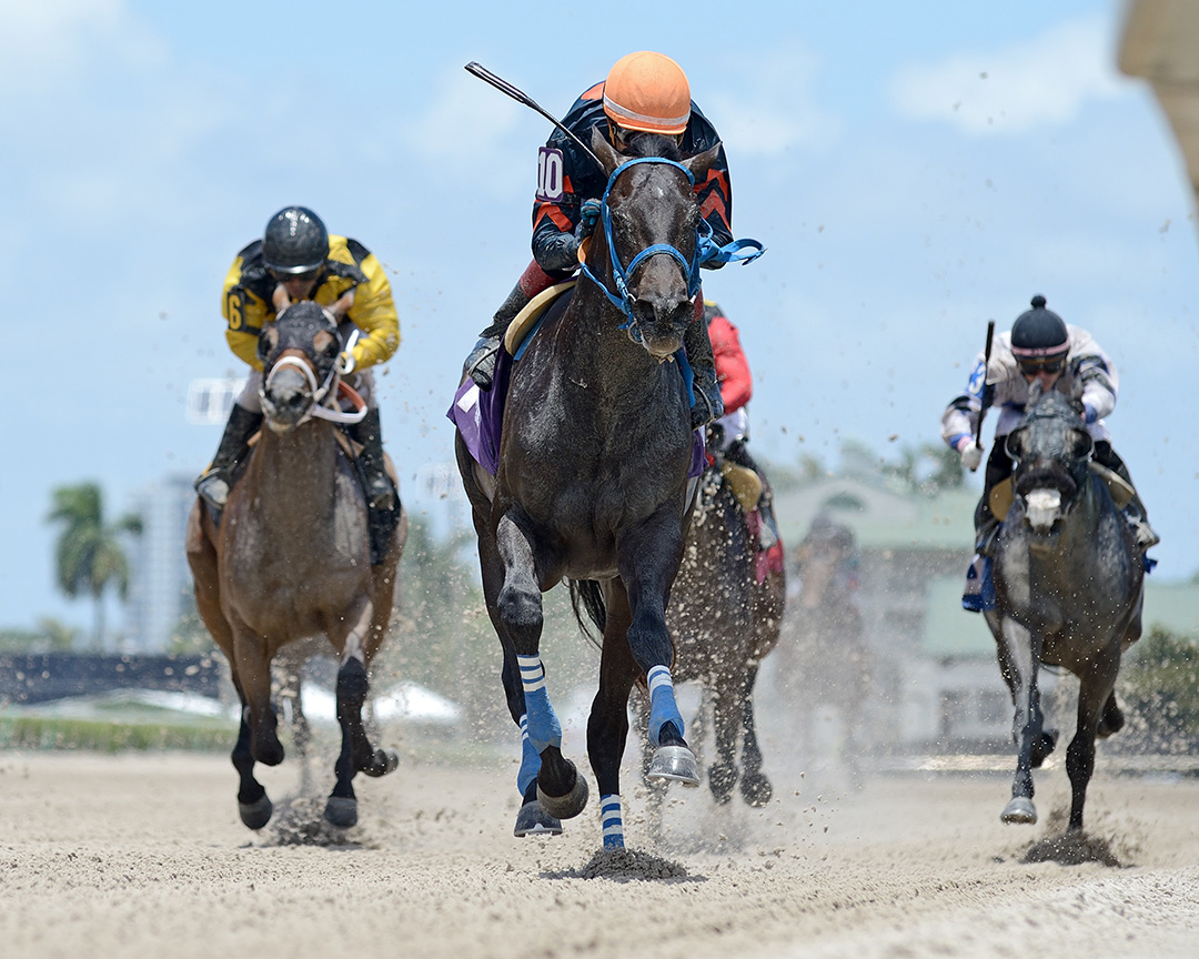 Swaggy George wins a May 22 maiden race at Gulfstream Park