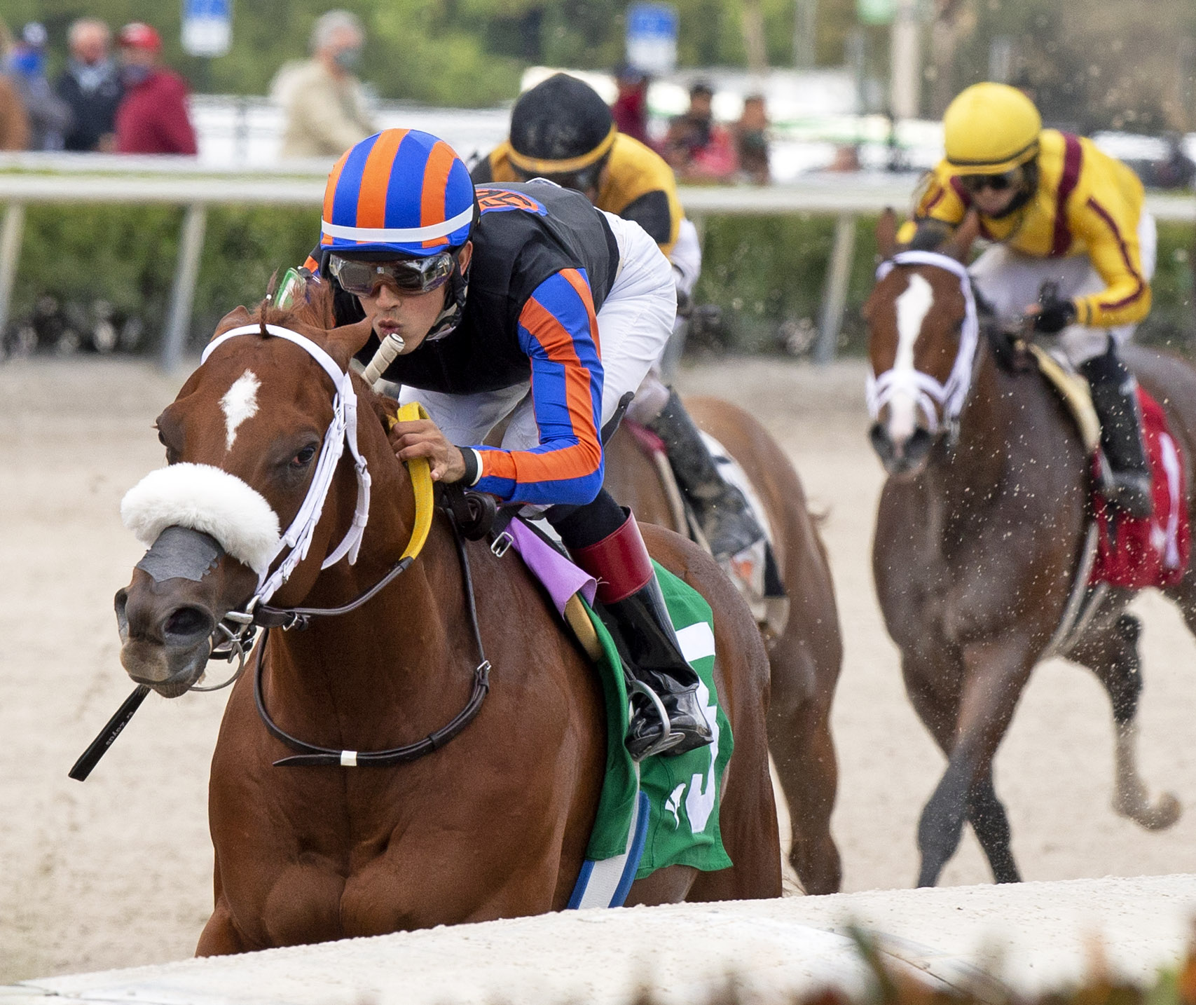 Drain the Clock wins Swale 1-30-2021