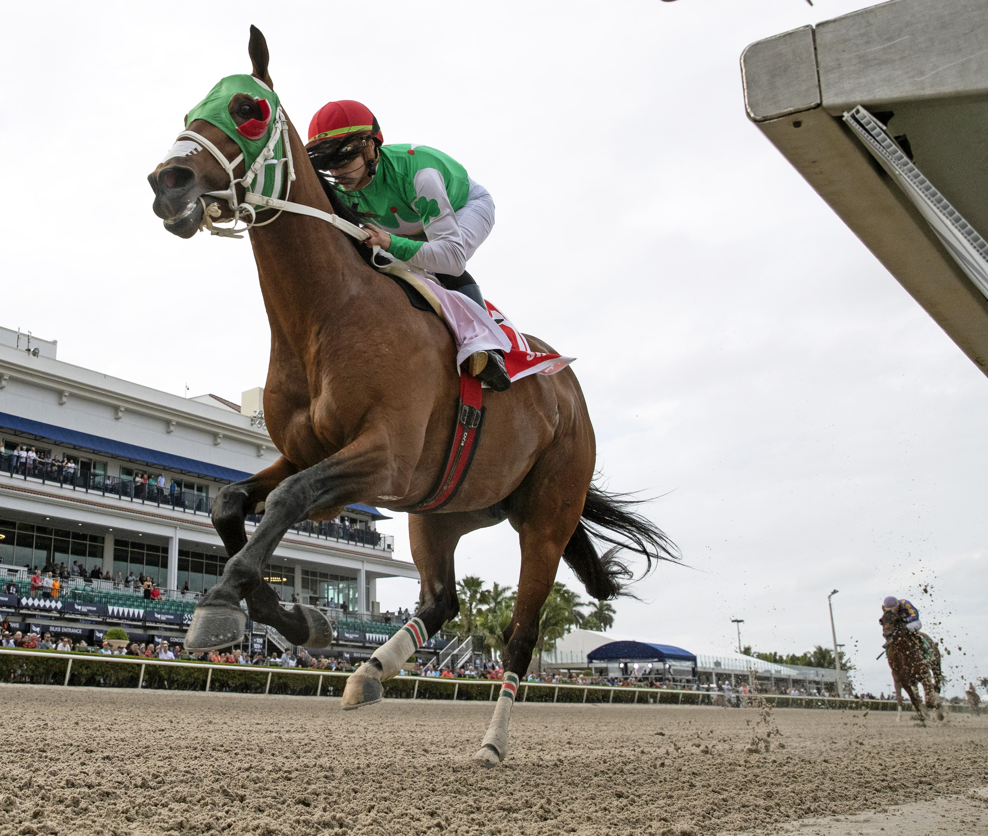 Mischevious Alex wins the 2020 Swale Stakes