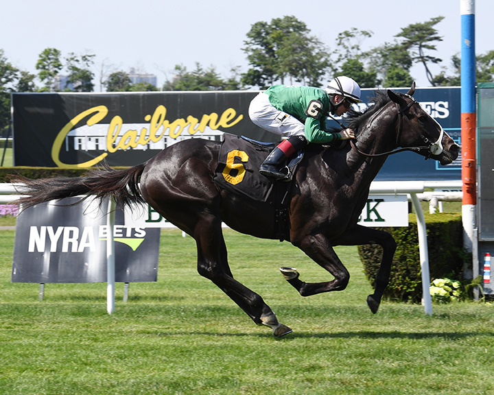 Swamp Rat wins a June 17 maiden race