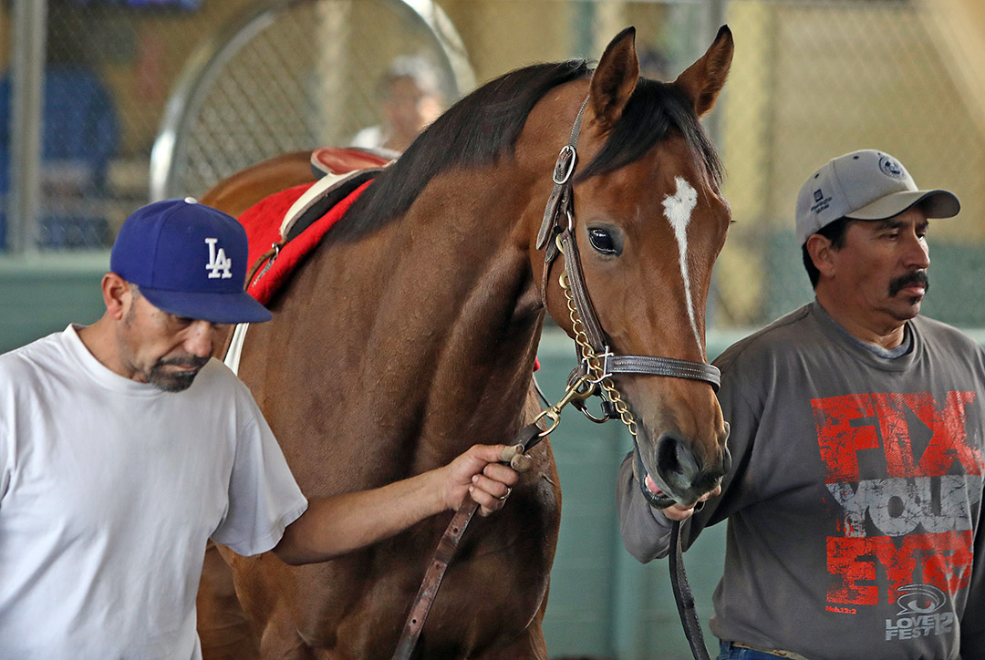 Swamp Souffle at Santa Anita Park in January 2020