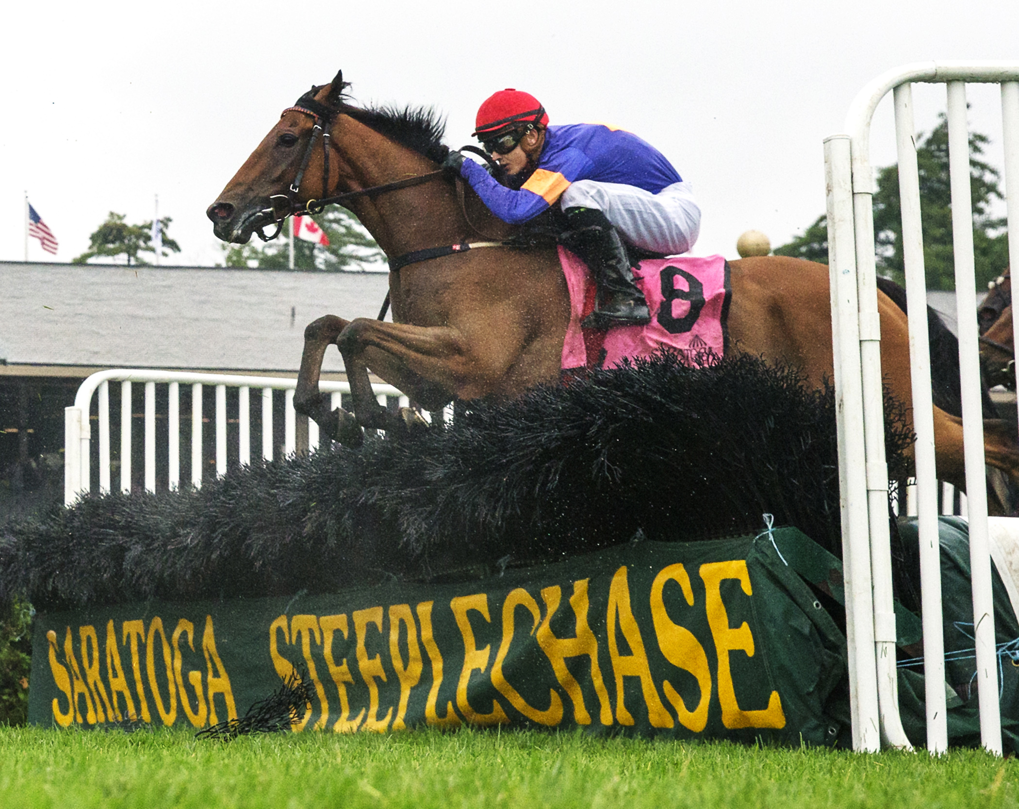 Swansea Mile wins the 2017 A.P. Smithwick