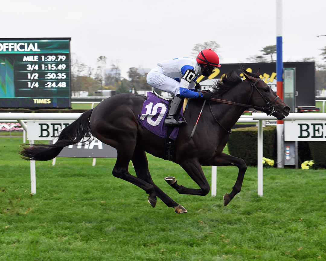 Swashbuckle wins an Oct. 24 maiden race at Belmont Park