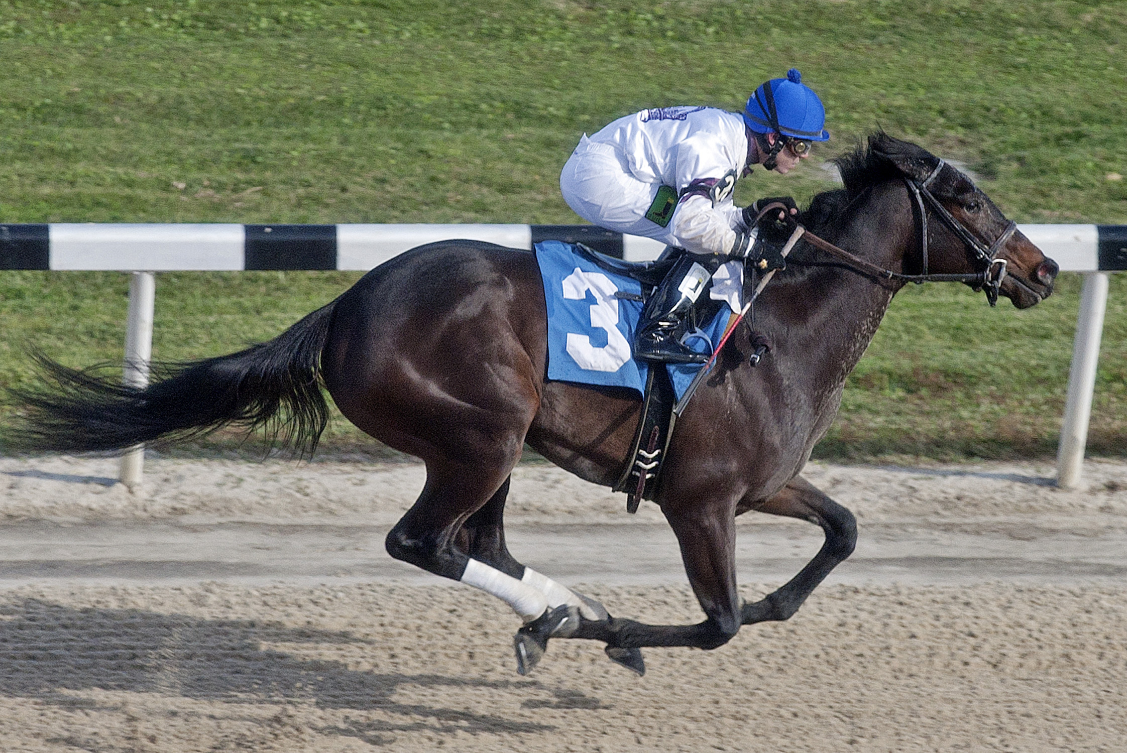 Swear Me In wins a maiden