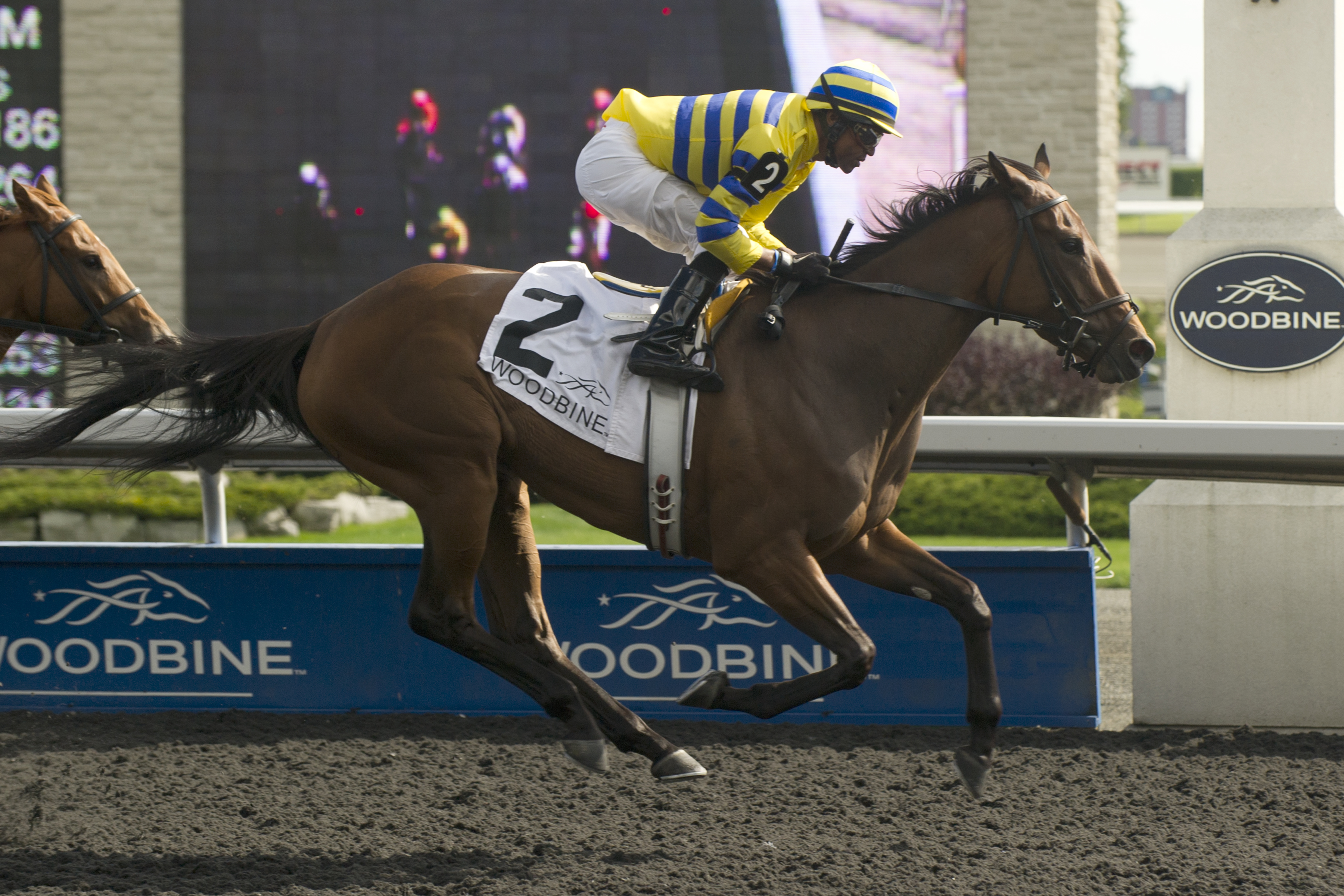 Sweater Weather wins 2014 La Lorgnette