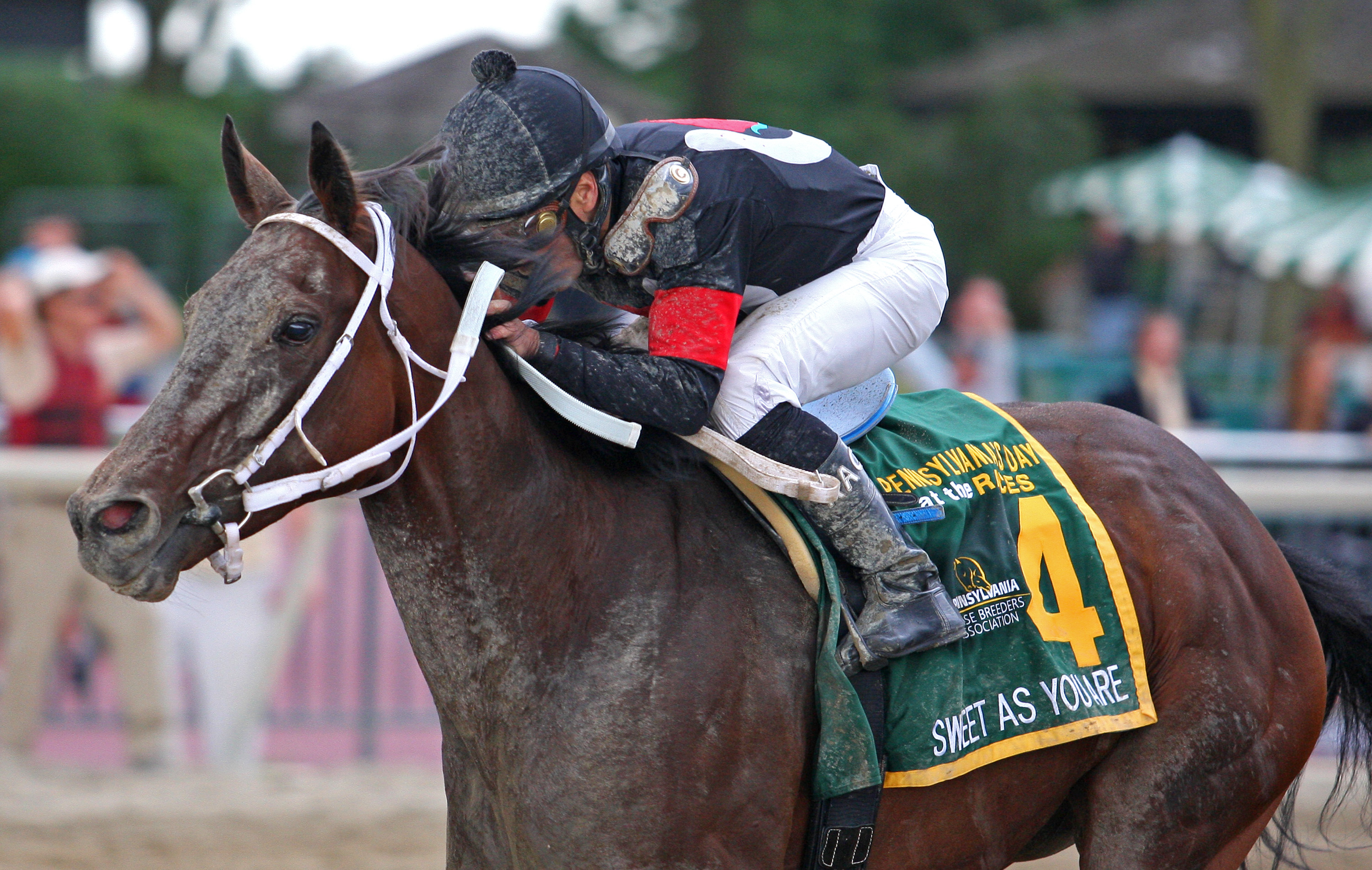 Sweet As You Are, Mr. Penny Stakes