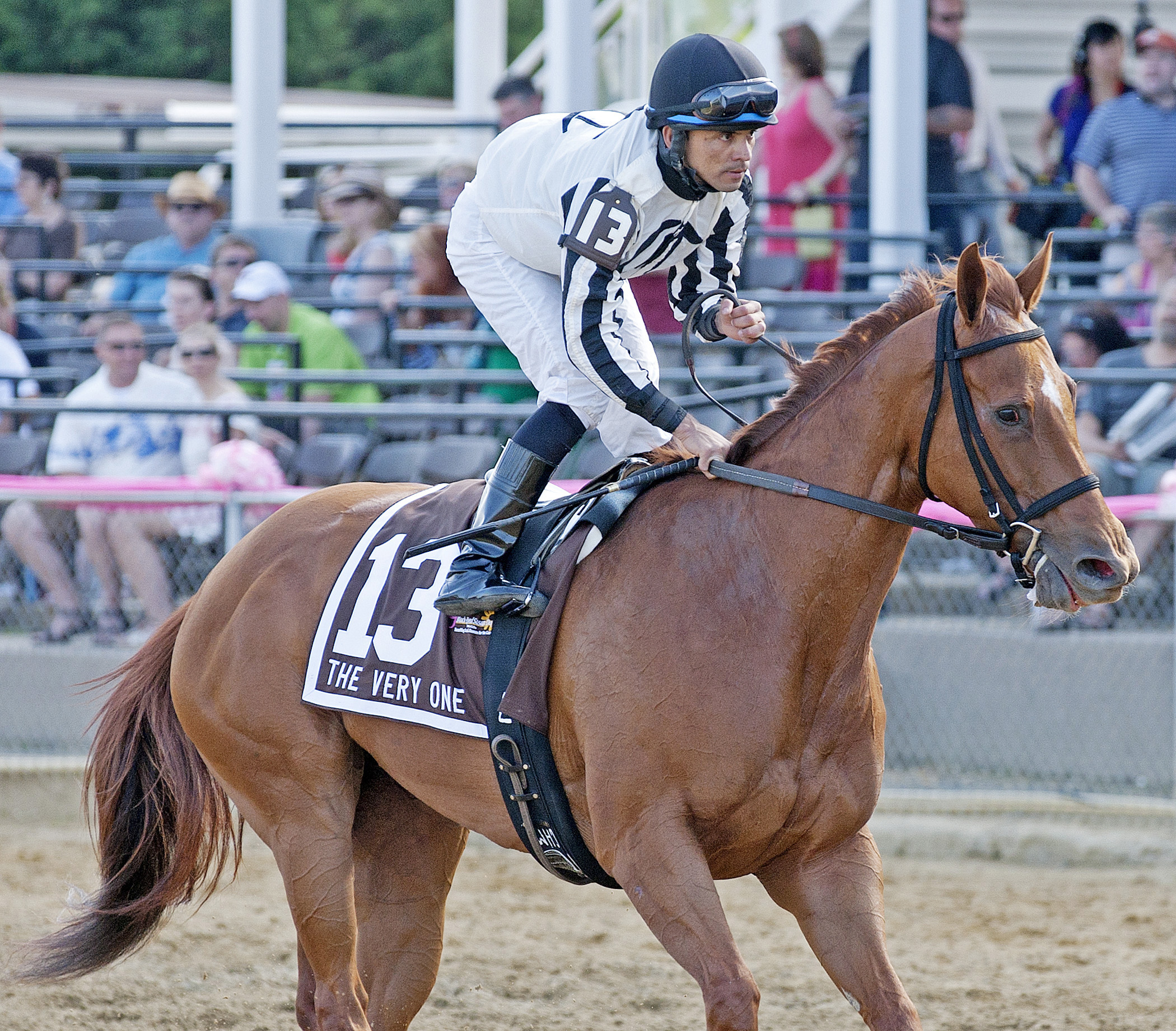 Sweet Cassiopeia at The Very One Stakes
