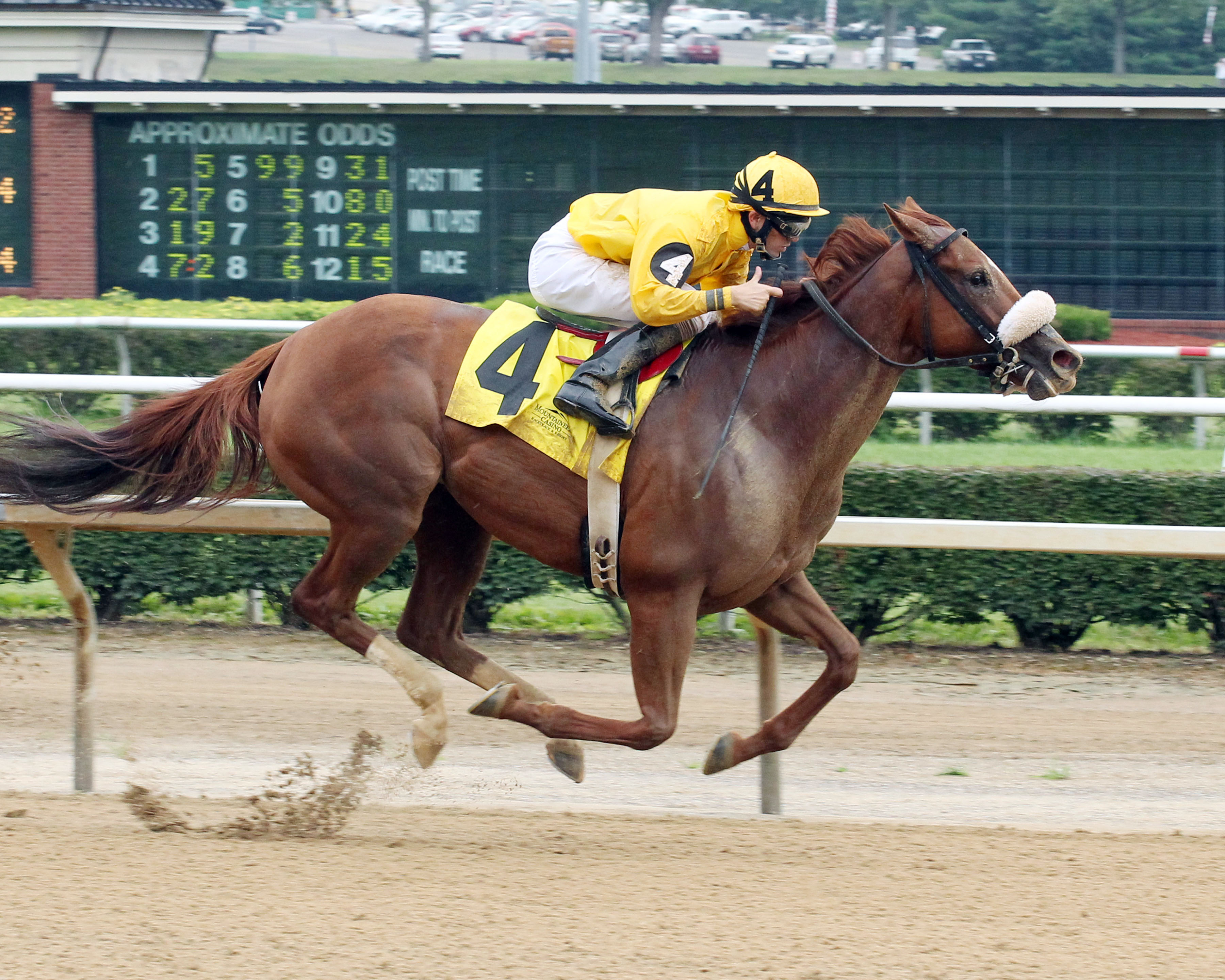 Sweet Cassiopeia wins the West Virginia Secretary of State Stakes