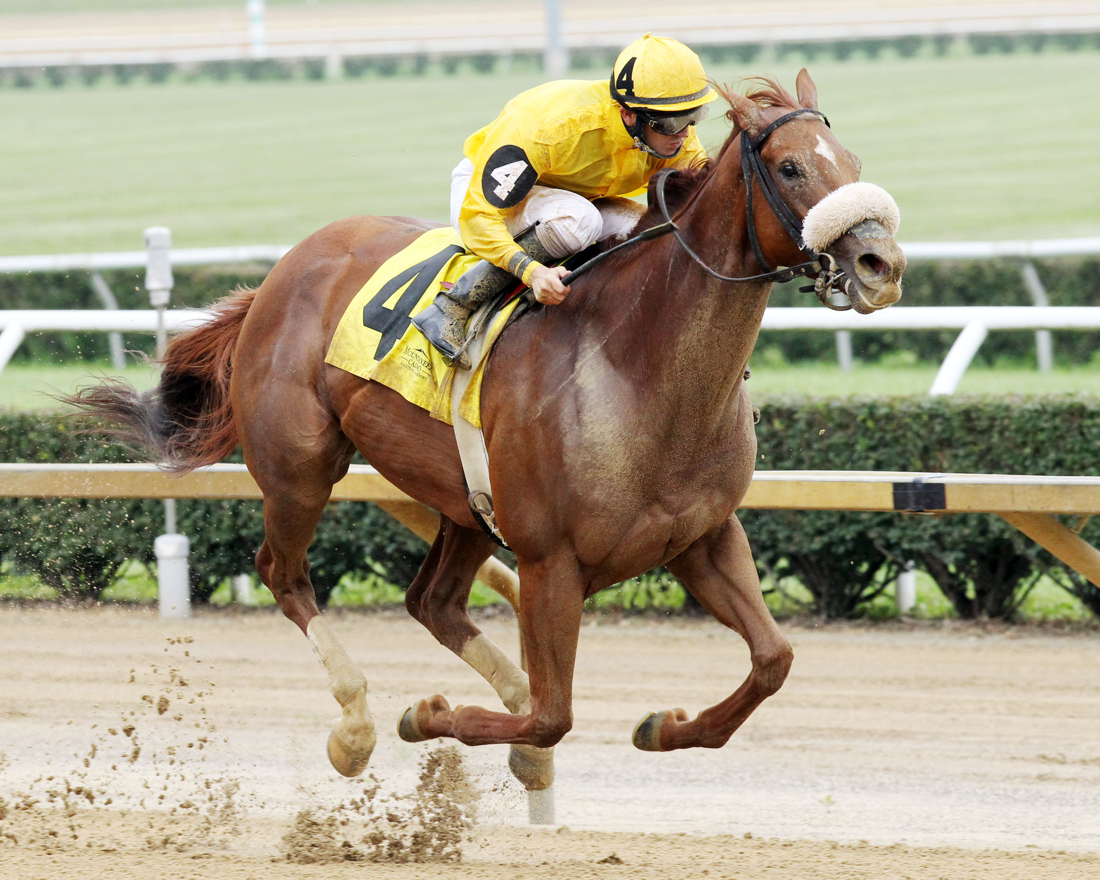 Sweet Cassiopeia wins the West Virginia Secretary of State Stakes