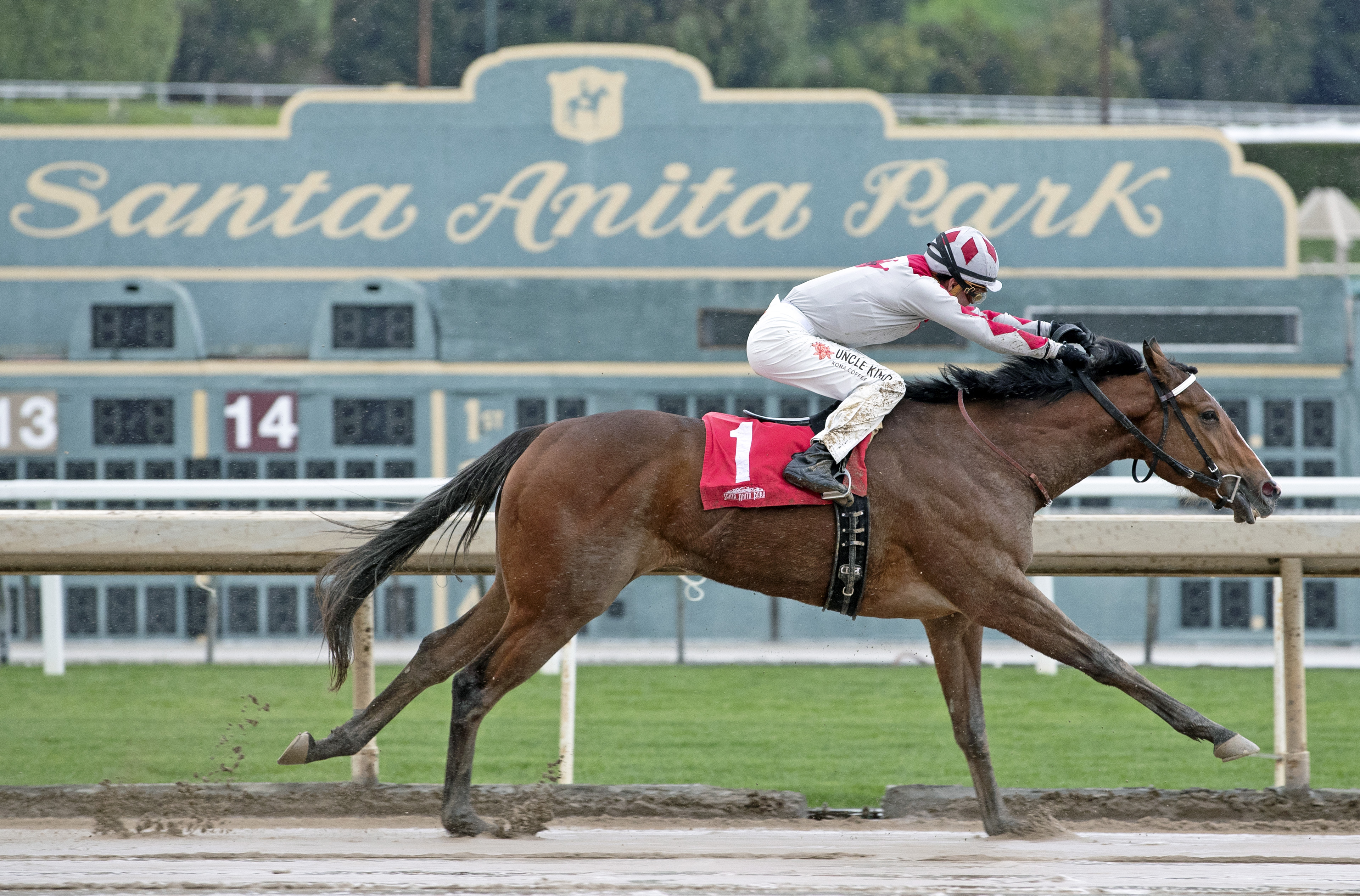 Apache Princess wins 2019 Sweet Life