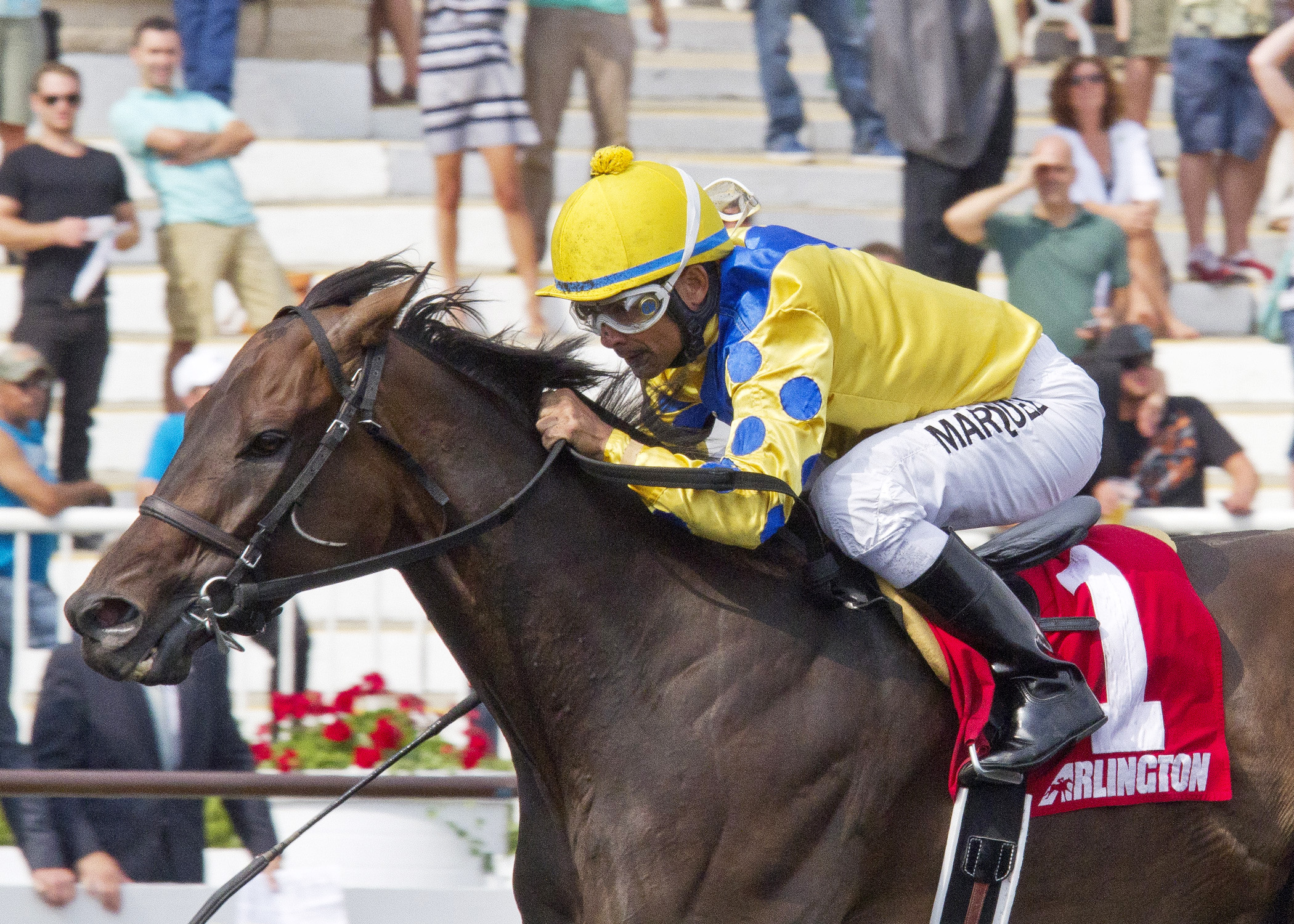 Sweet Luca win the 2014 Addison Cammack