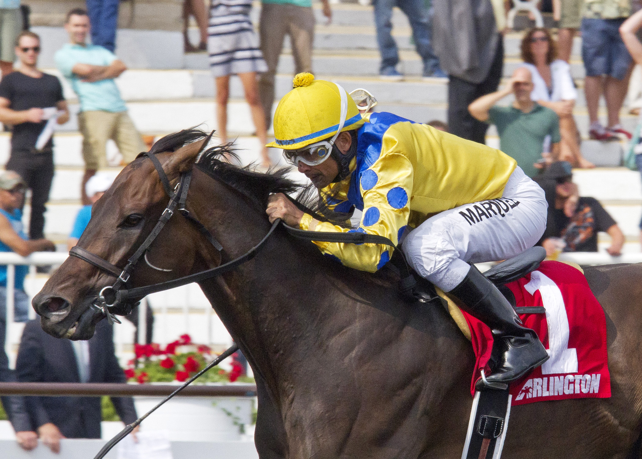 Sweet Luca wins the 2014 Addison Cammack