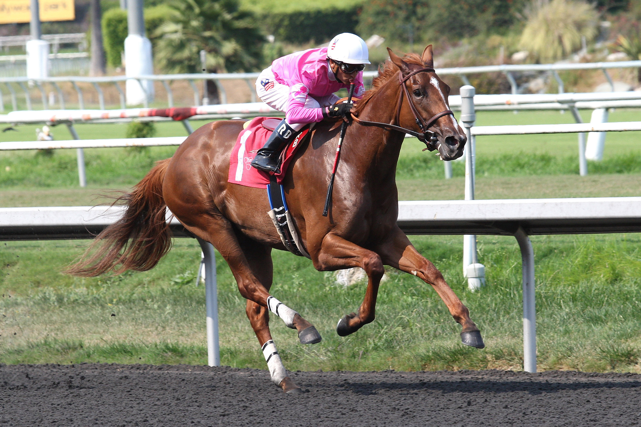 Sweet Lulu, allowance win