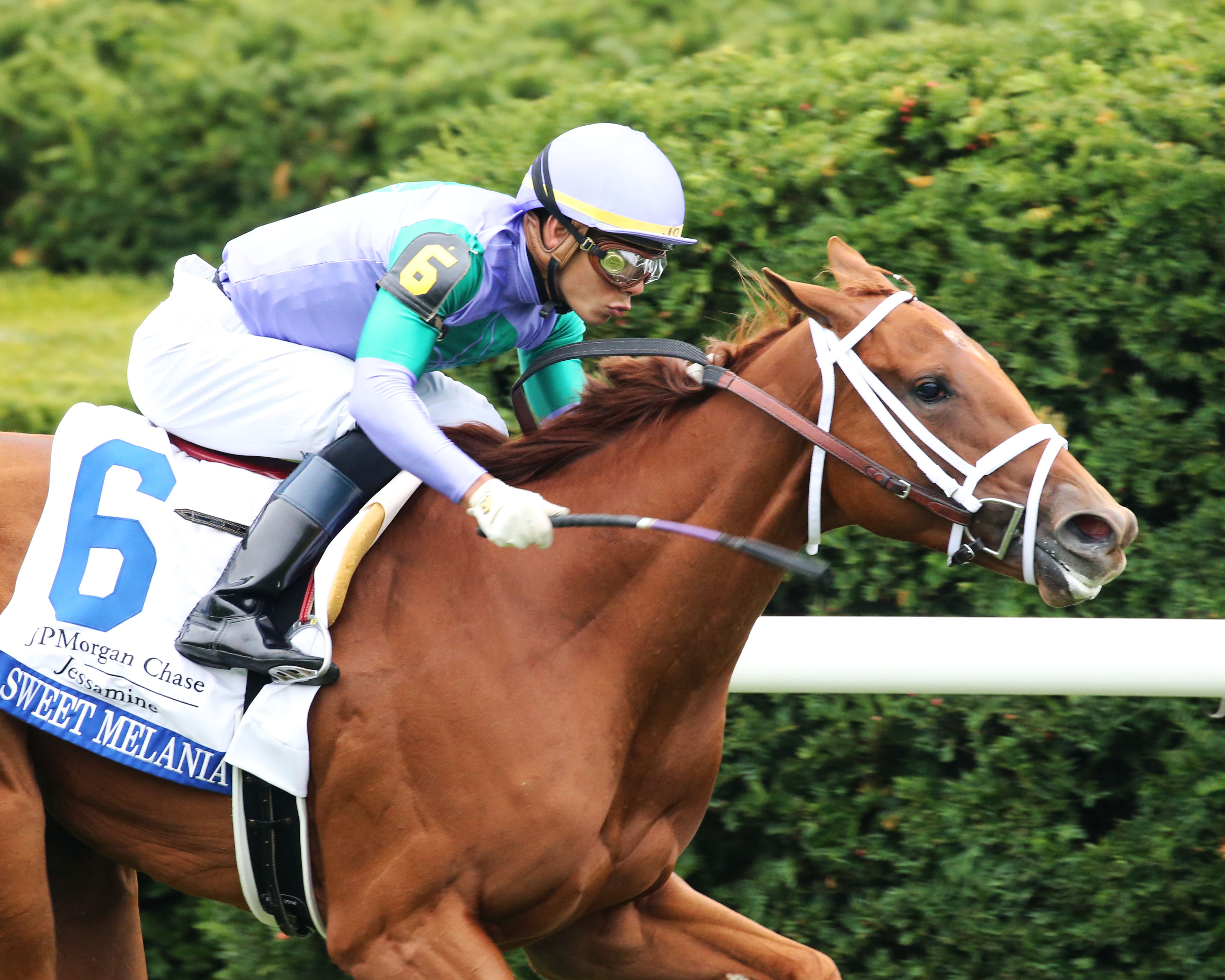 Sweet Melania.Jose Ortiz.Jessamine Stakes.CO 10-9-2019