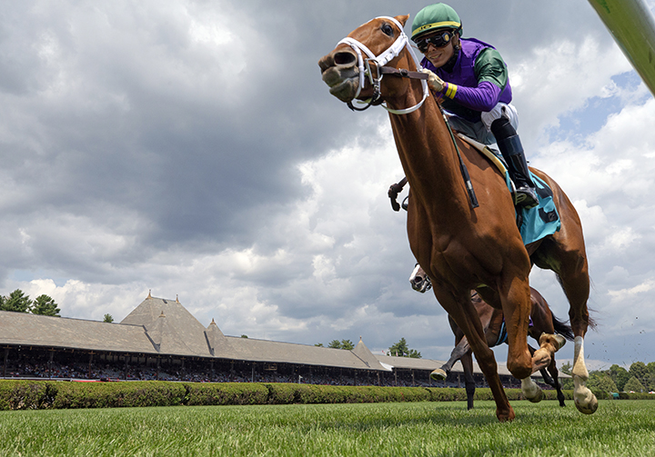 Sweet Melania wins a July 14 maiden race at Saratoga
