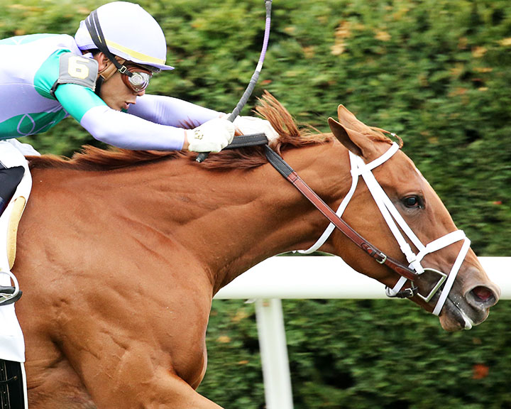 Sweet Melania wins the 2019 Jessamine Stakes at Keeneland Racecourse