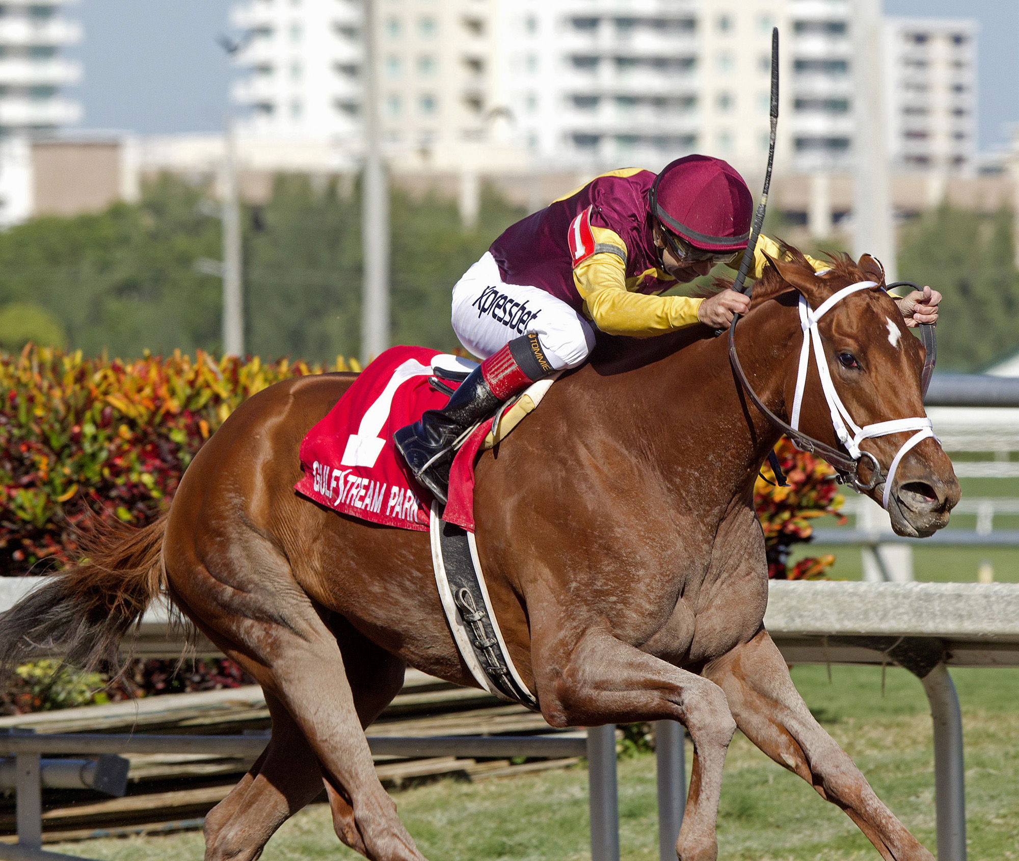 Sweet N Discreet from Jan. 18