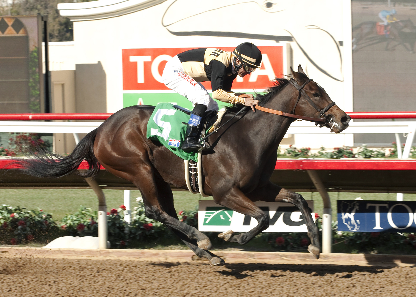 Sweet Queen wins a maiden race at Del Mar