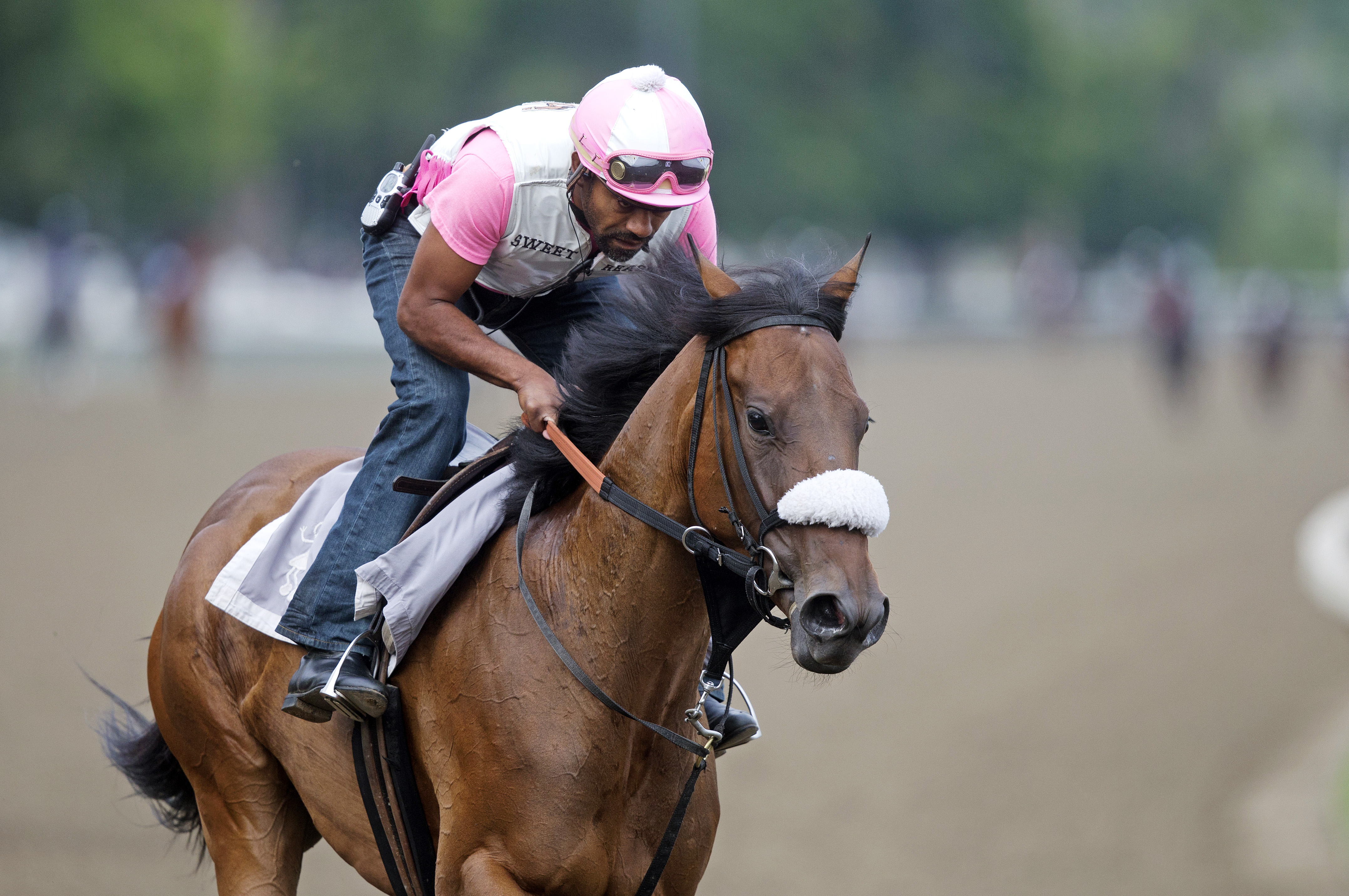 Sweet Reason trains at Saratoga on July 30