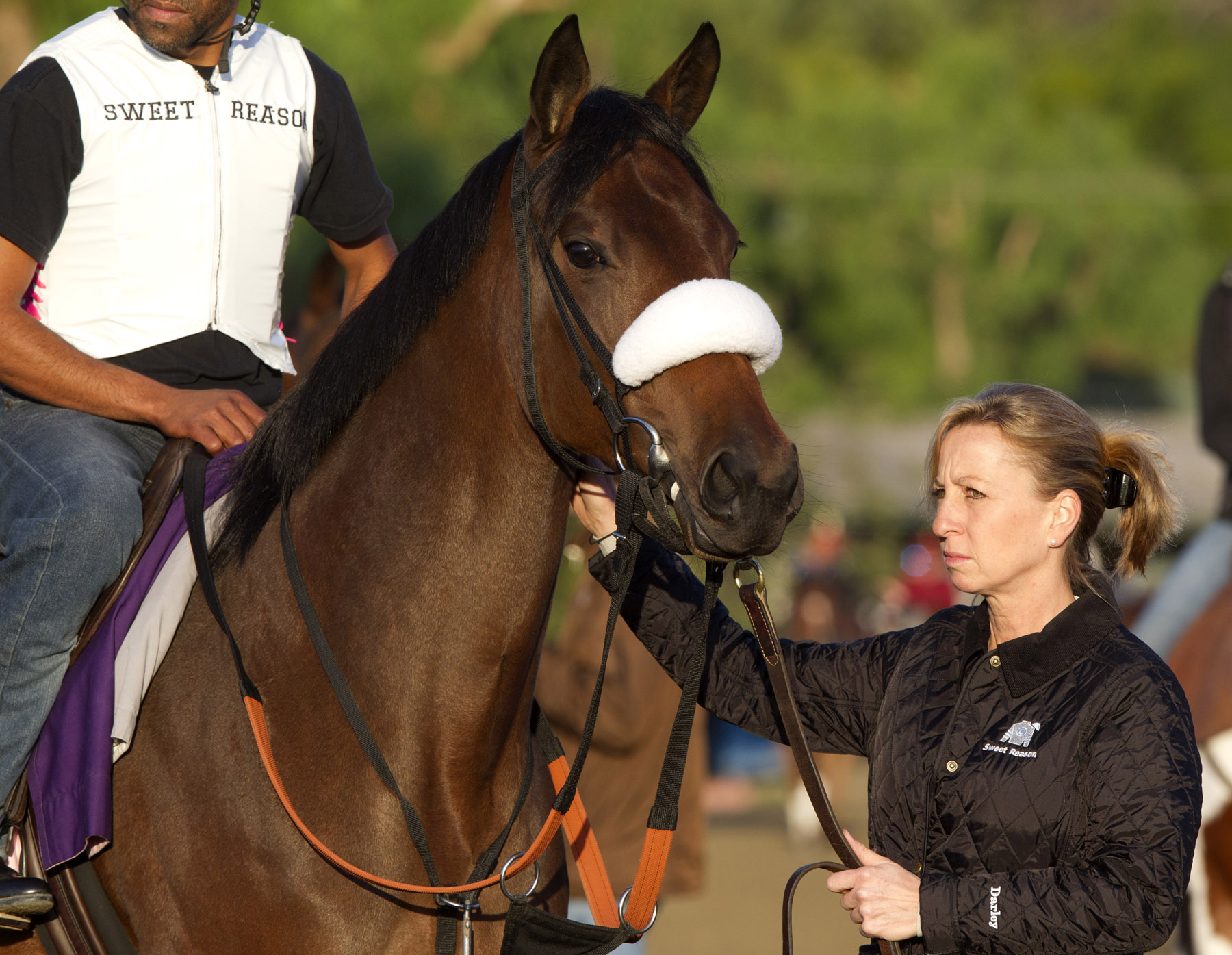 Sweet Reason with Leah Gyarmati