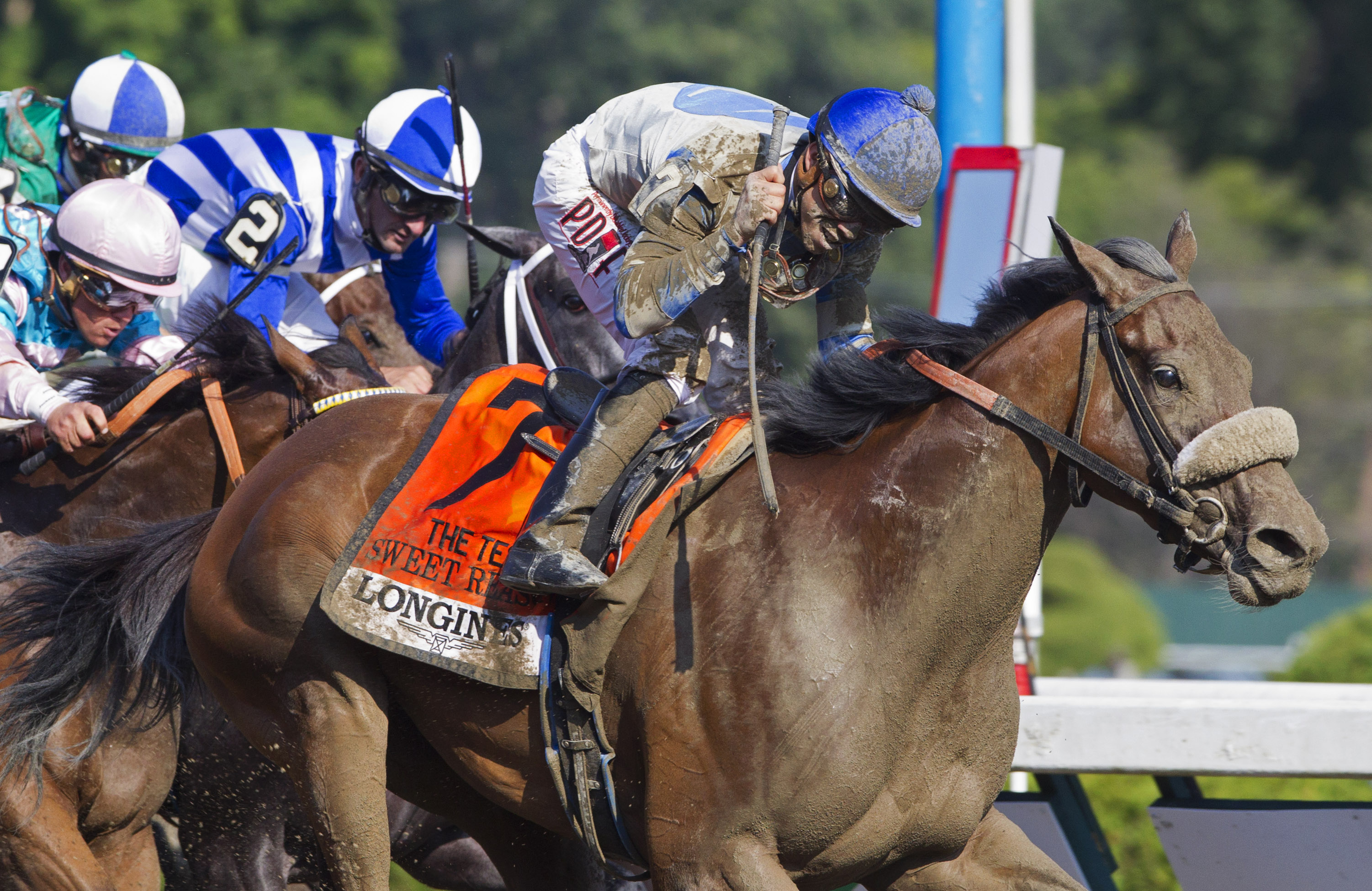 Sweet Reason 8-2-2014