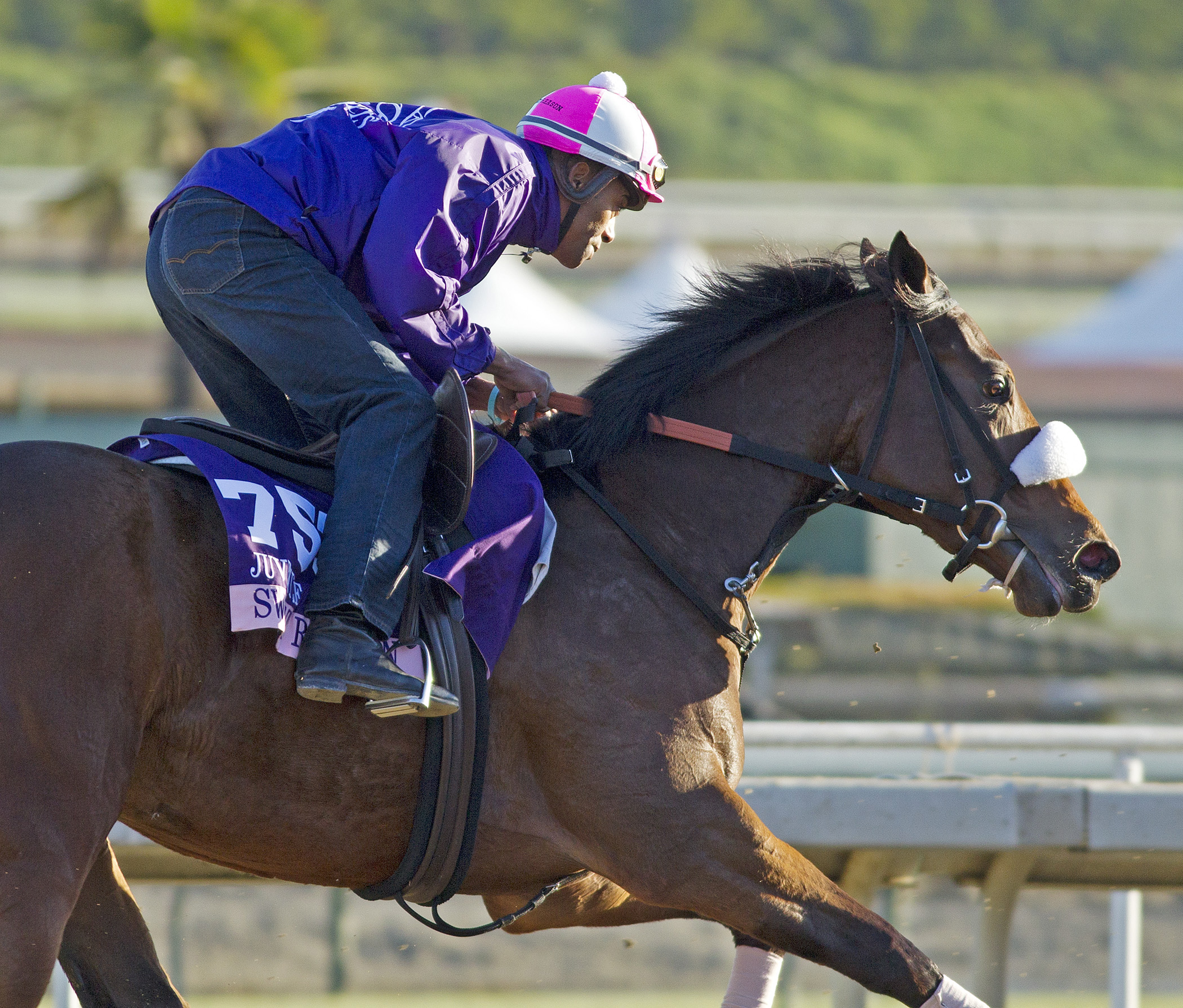 Sweet Reason at Santa Anita on Oct. 31