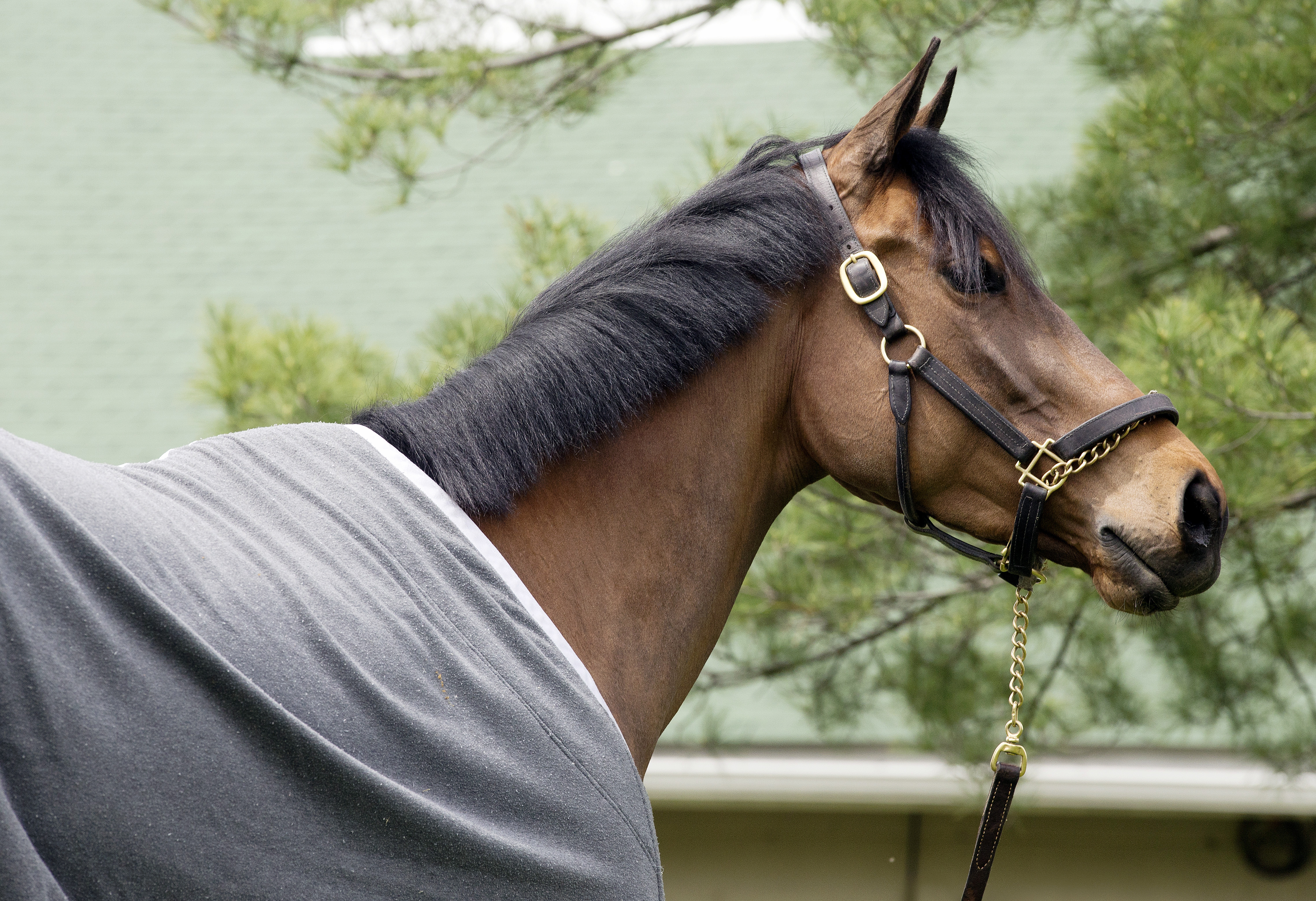 Sweet Reason at Churchill in April