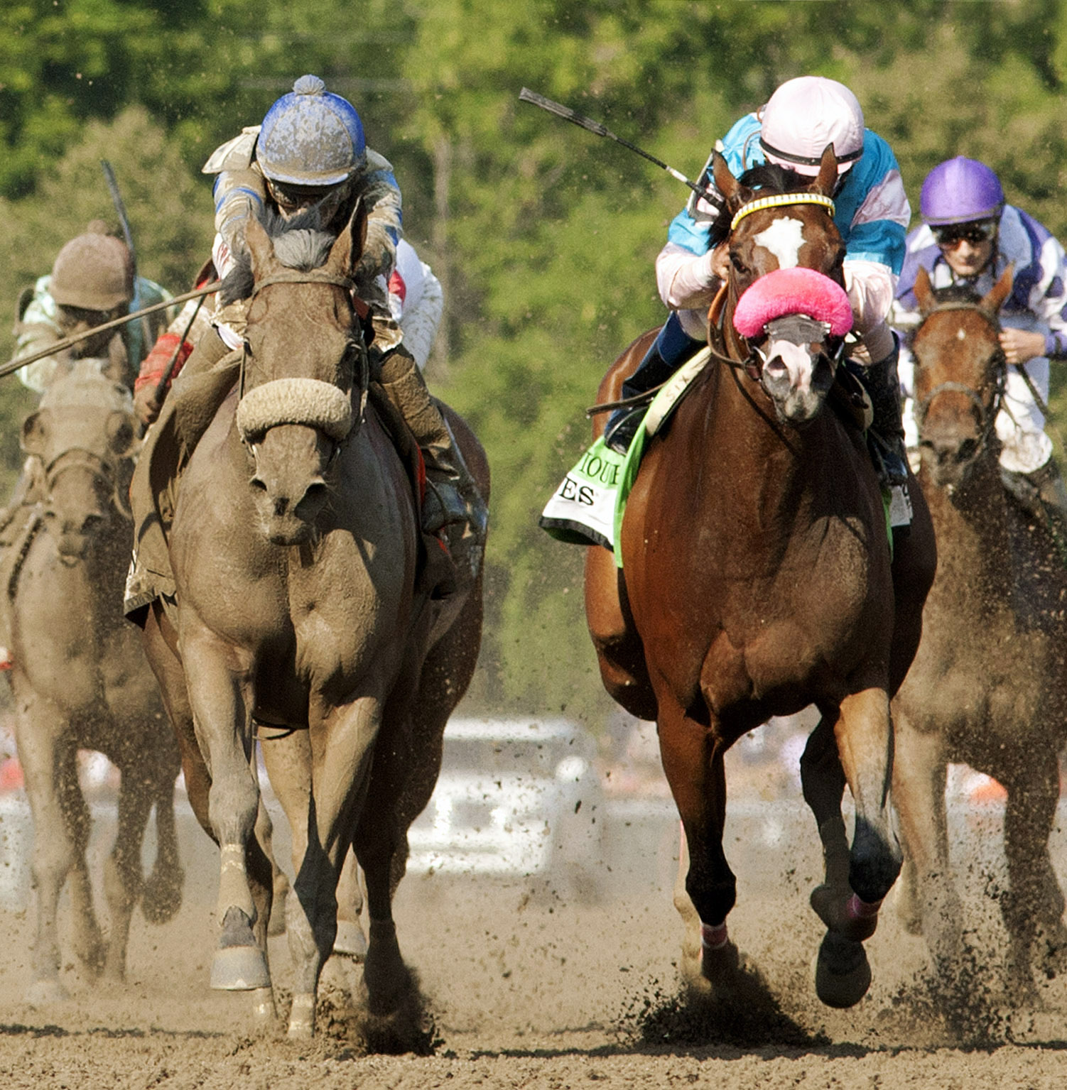 Miss Behaviour finishes second to Sweet Reason in the Test