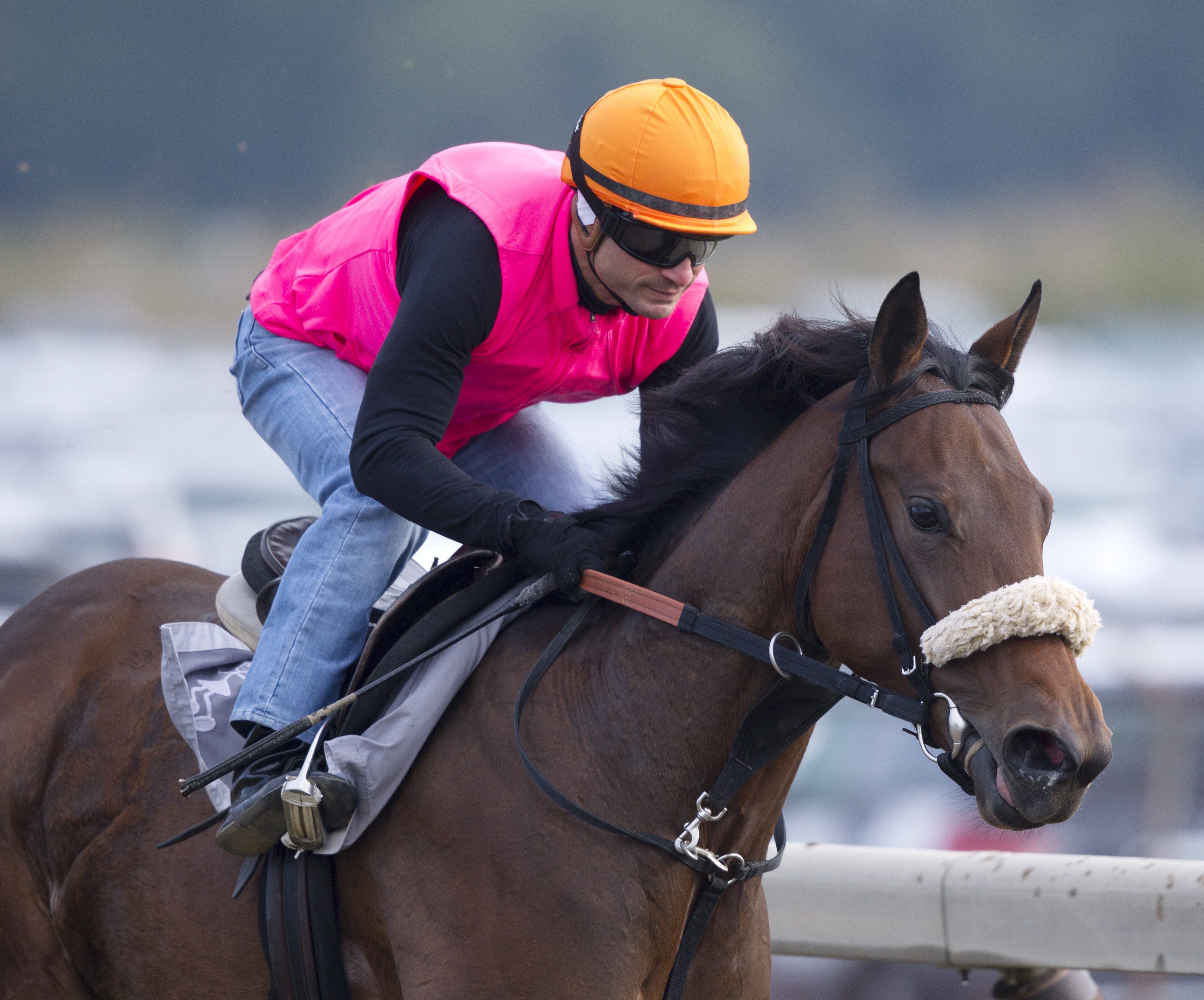 Sweet Reason training