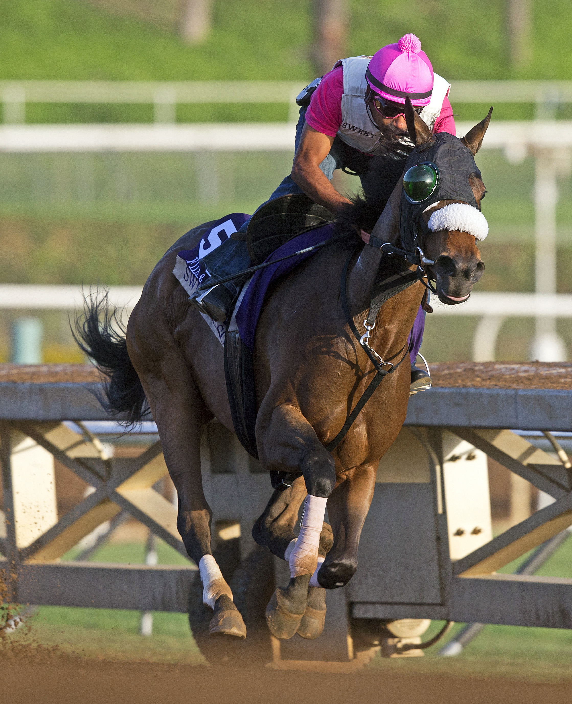 Sweet Reason trains at Santa Anita on Oct. 27