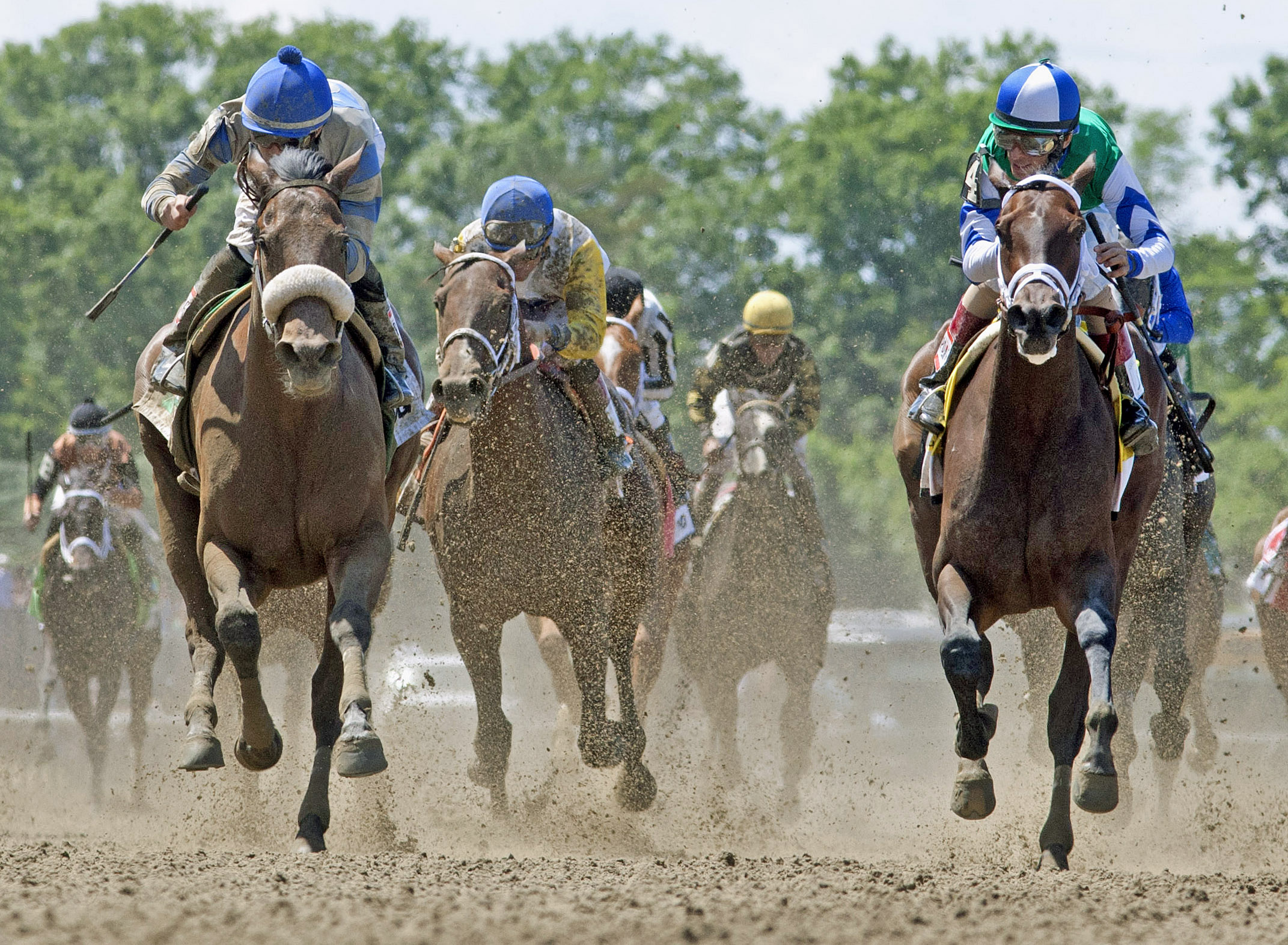Sweet Reason wins the Acorn head on
