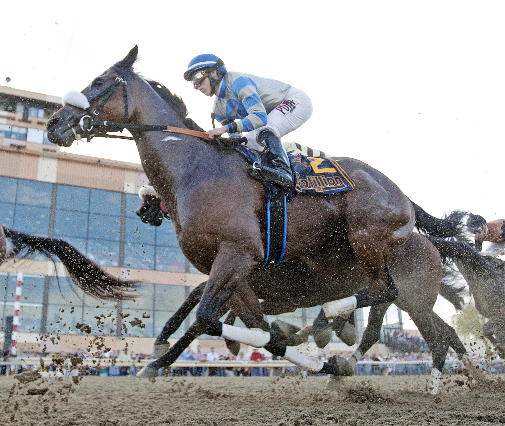 Sweet Reason finishes second in the Cotillion